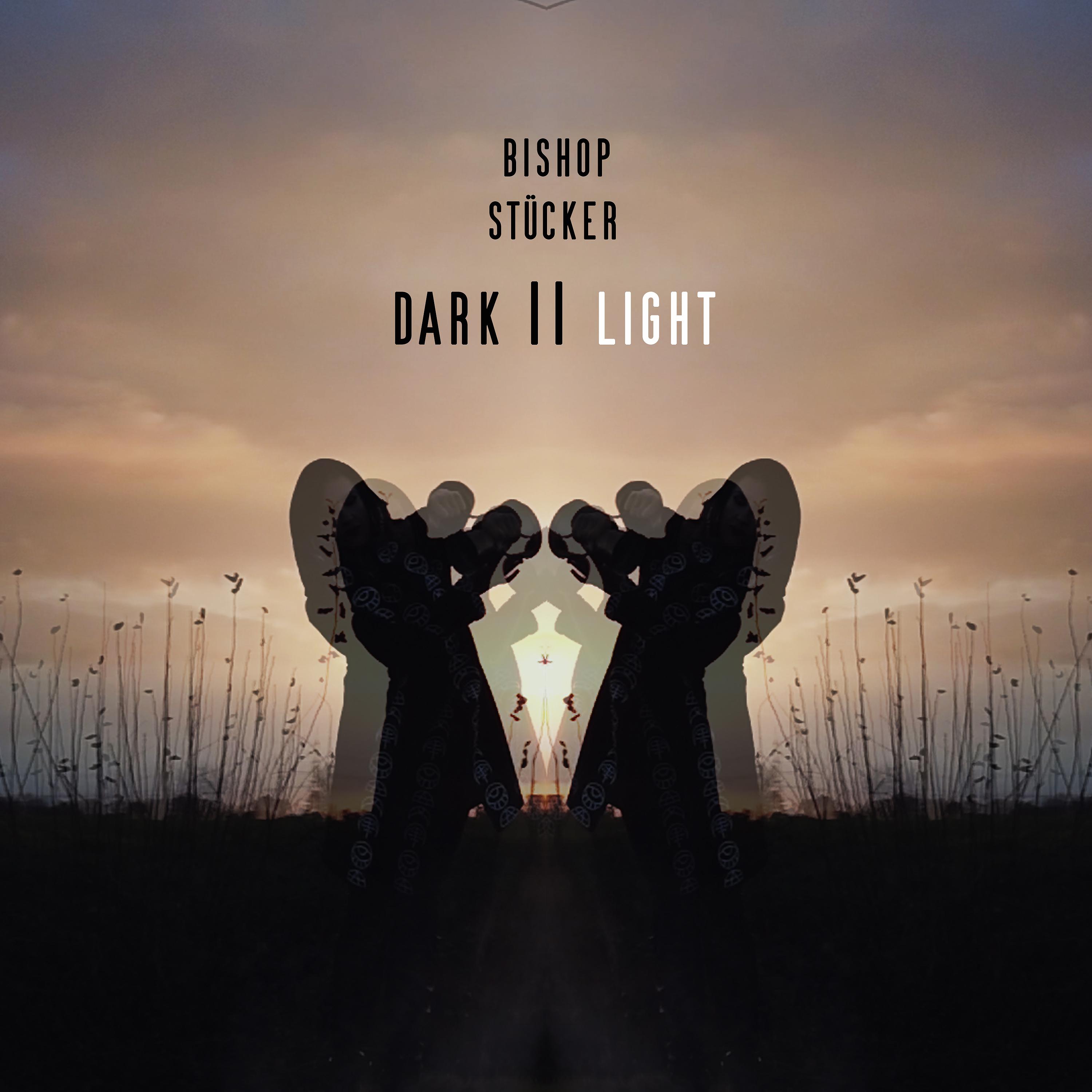 Постер альбома Dark // Light