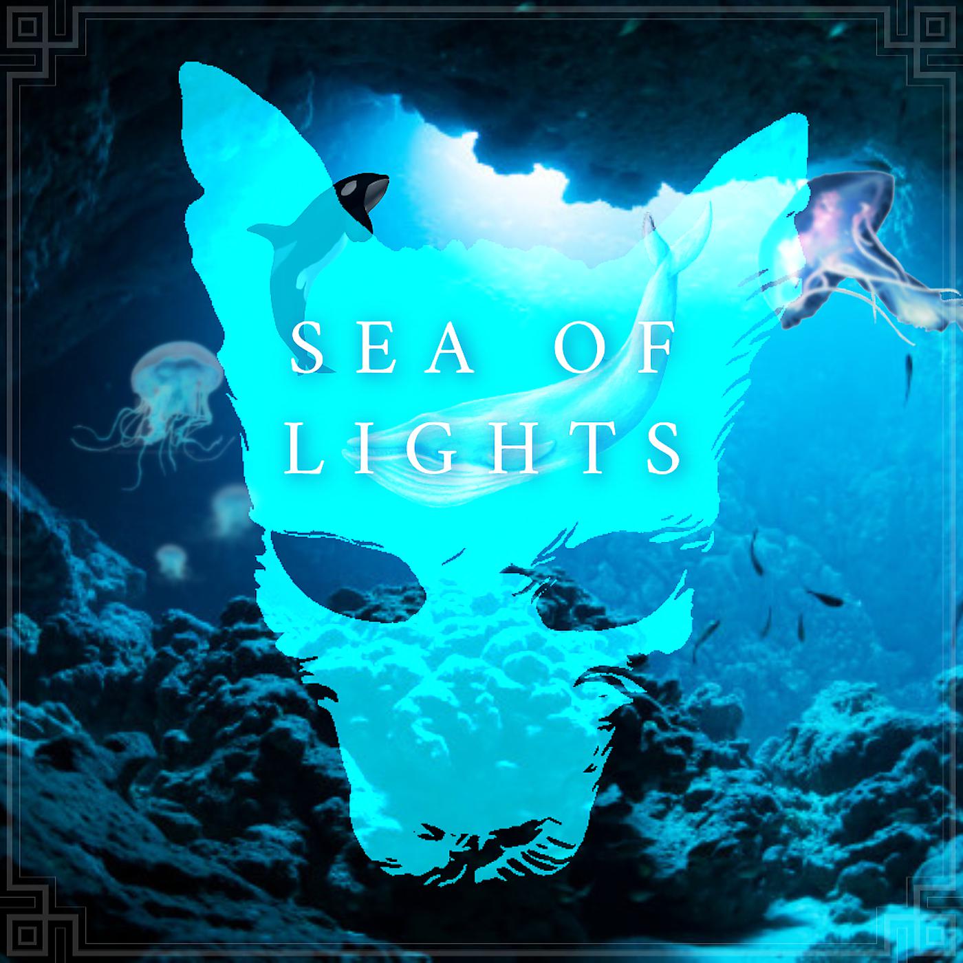 Постер альбома Sea of Lights