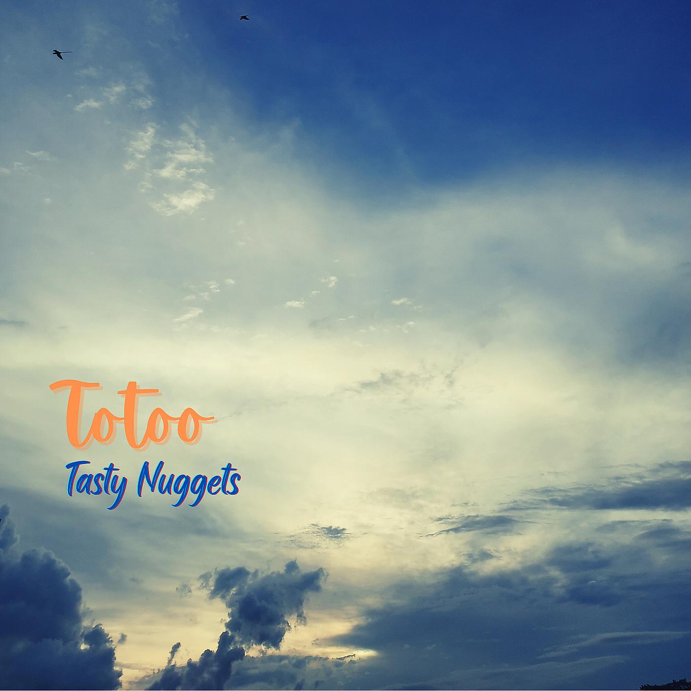 Постер альбома Totoo