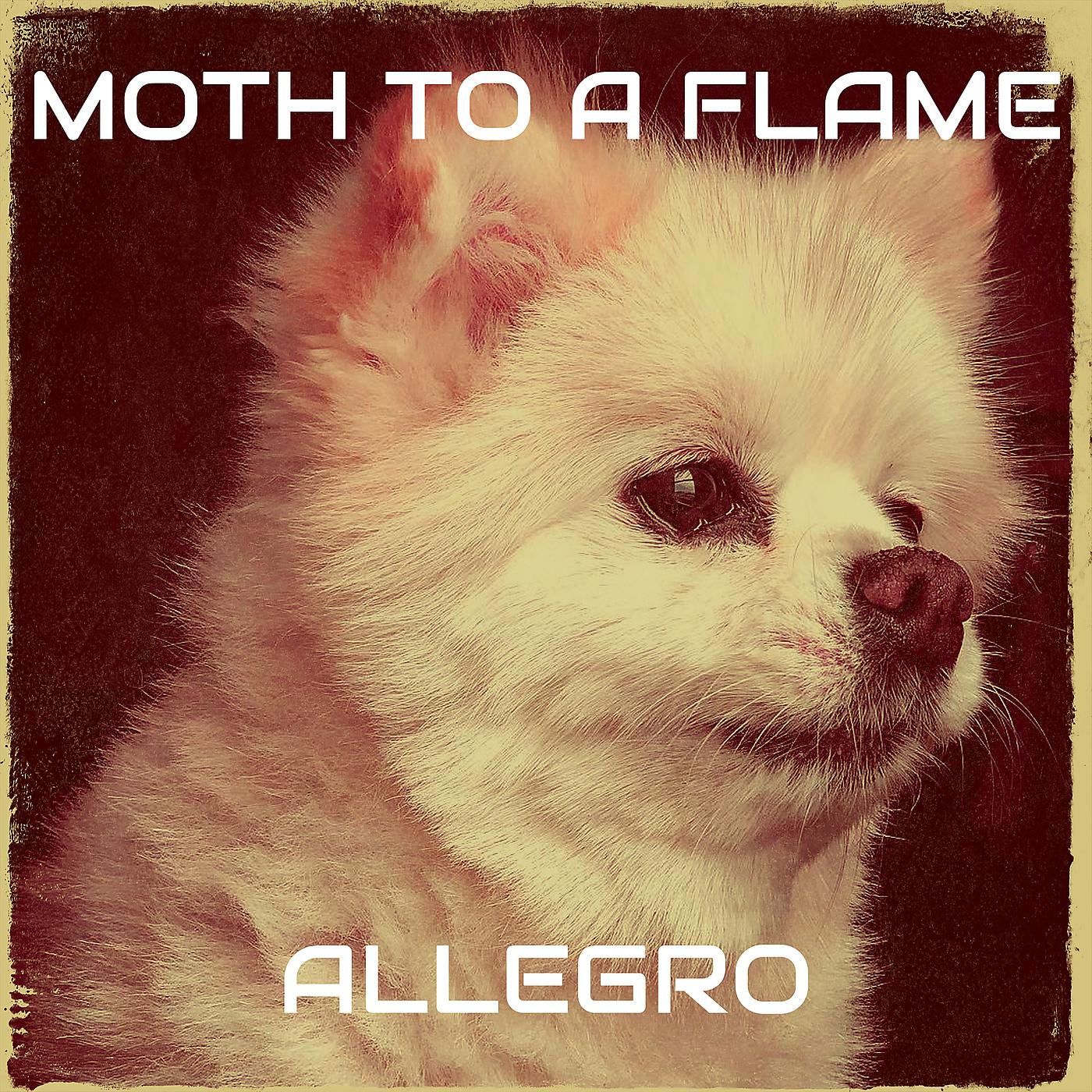 Постер альбома Moth to a Flame