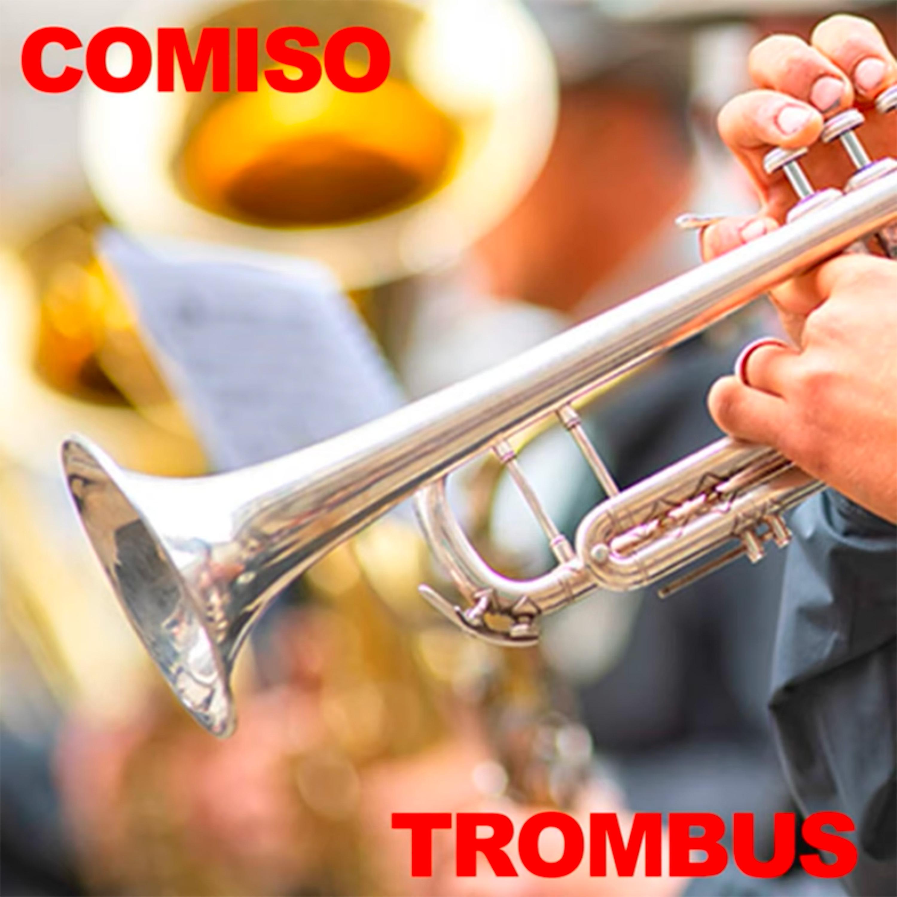 Постер альбома Trombus