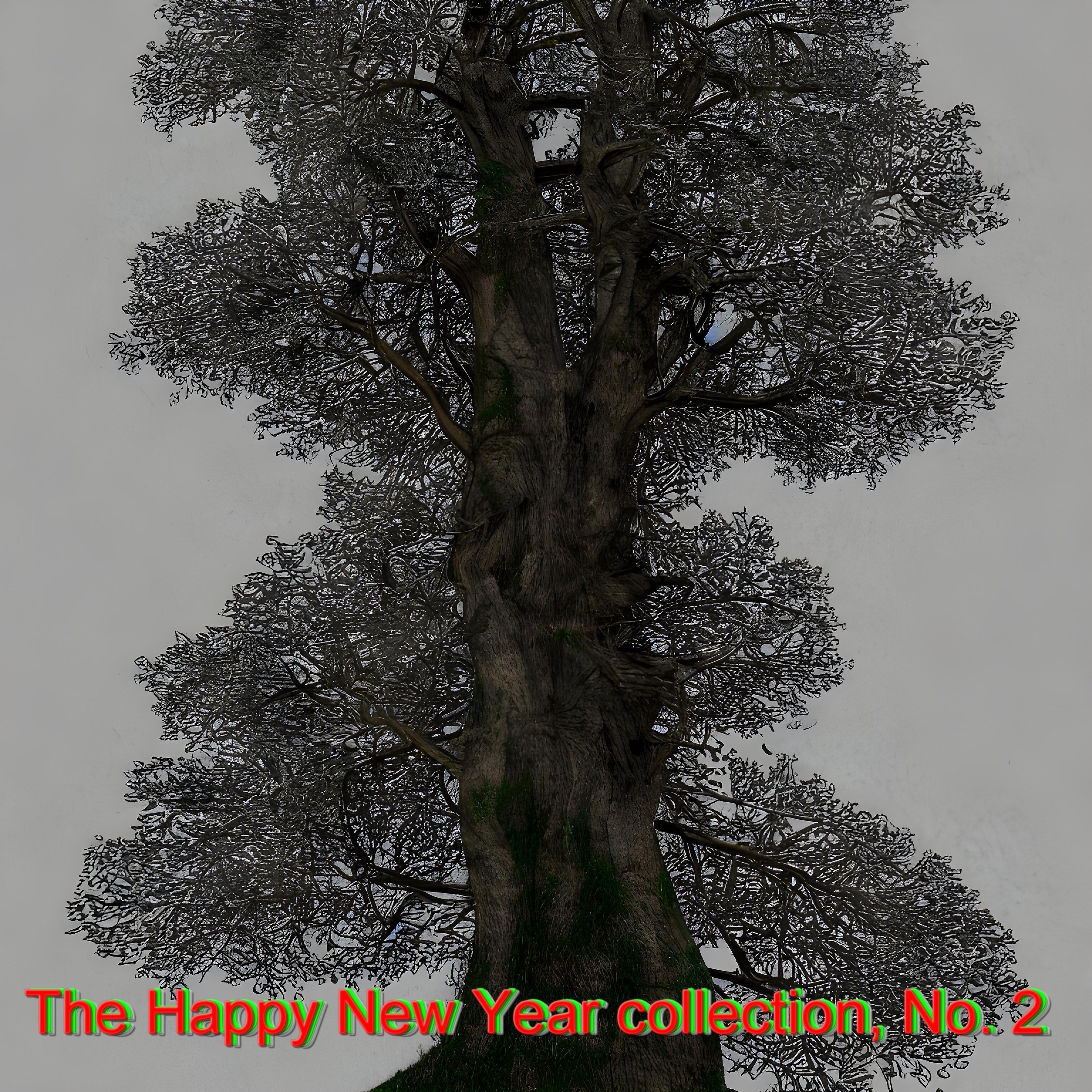 Постер альбома The Happy New Year Collection, No. 2