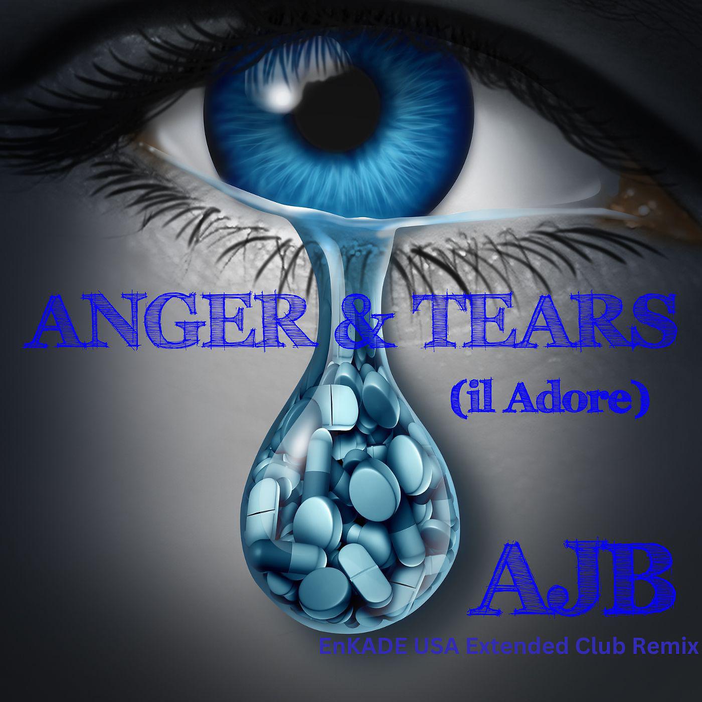 Постер альбома Anger and Tears (Il Adore)