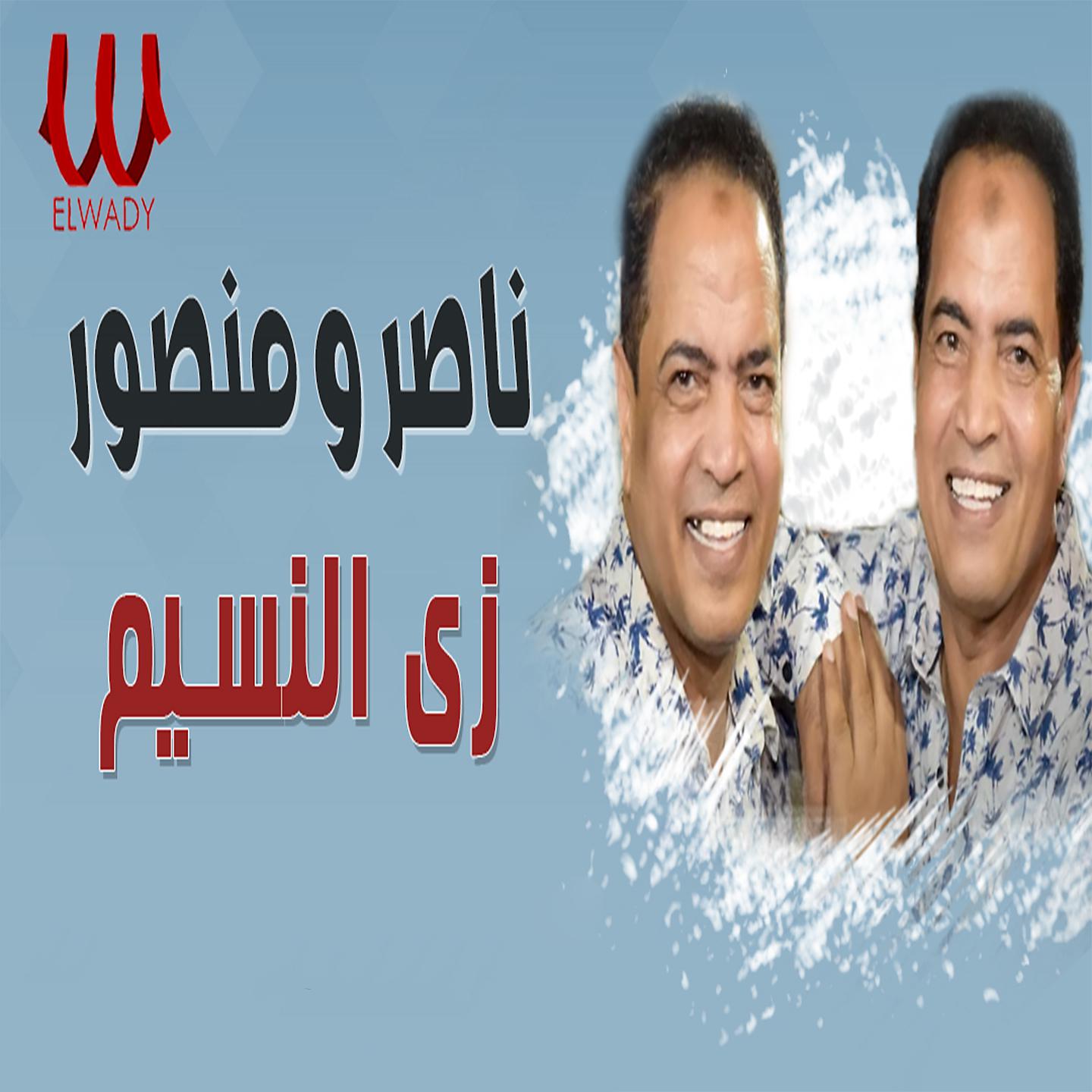 Постер альбома زي النسيم