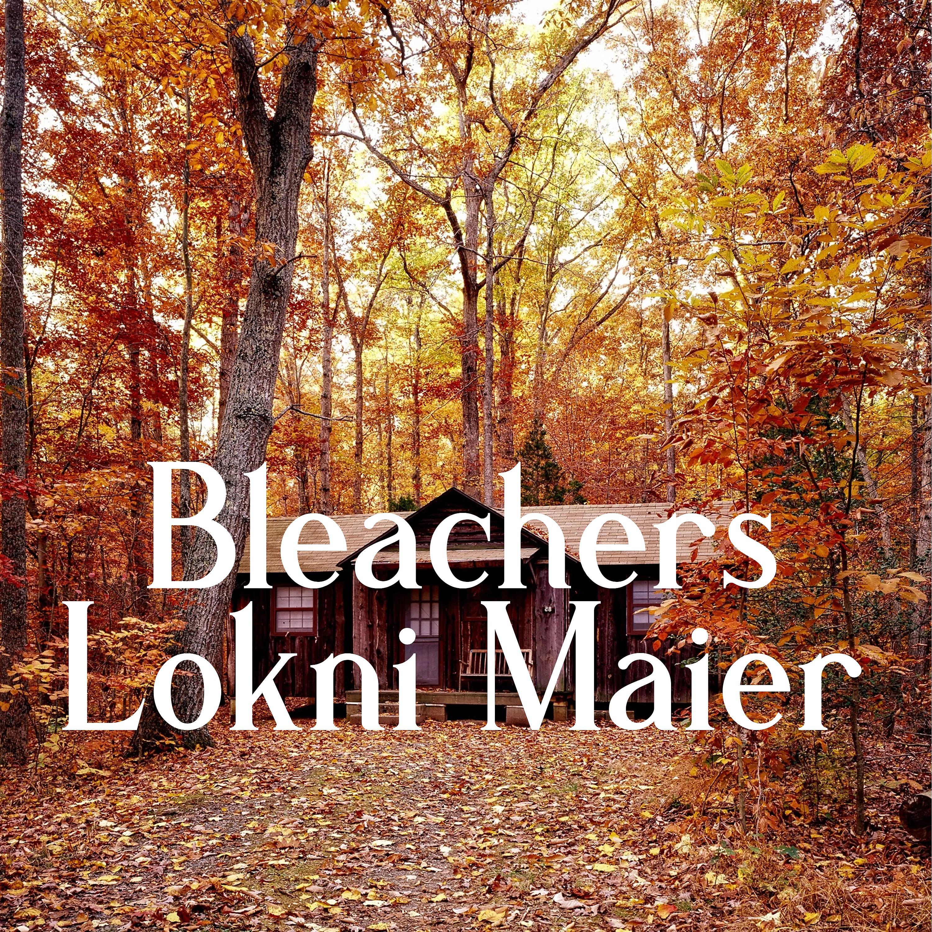 Постер альбома Bleachers