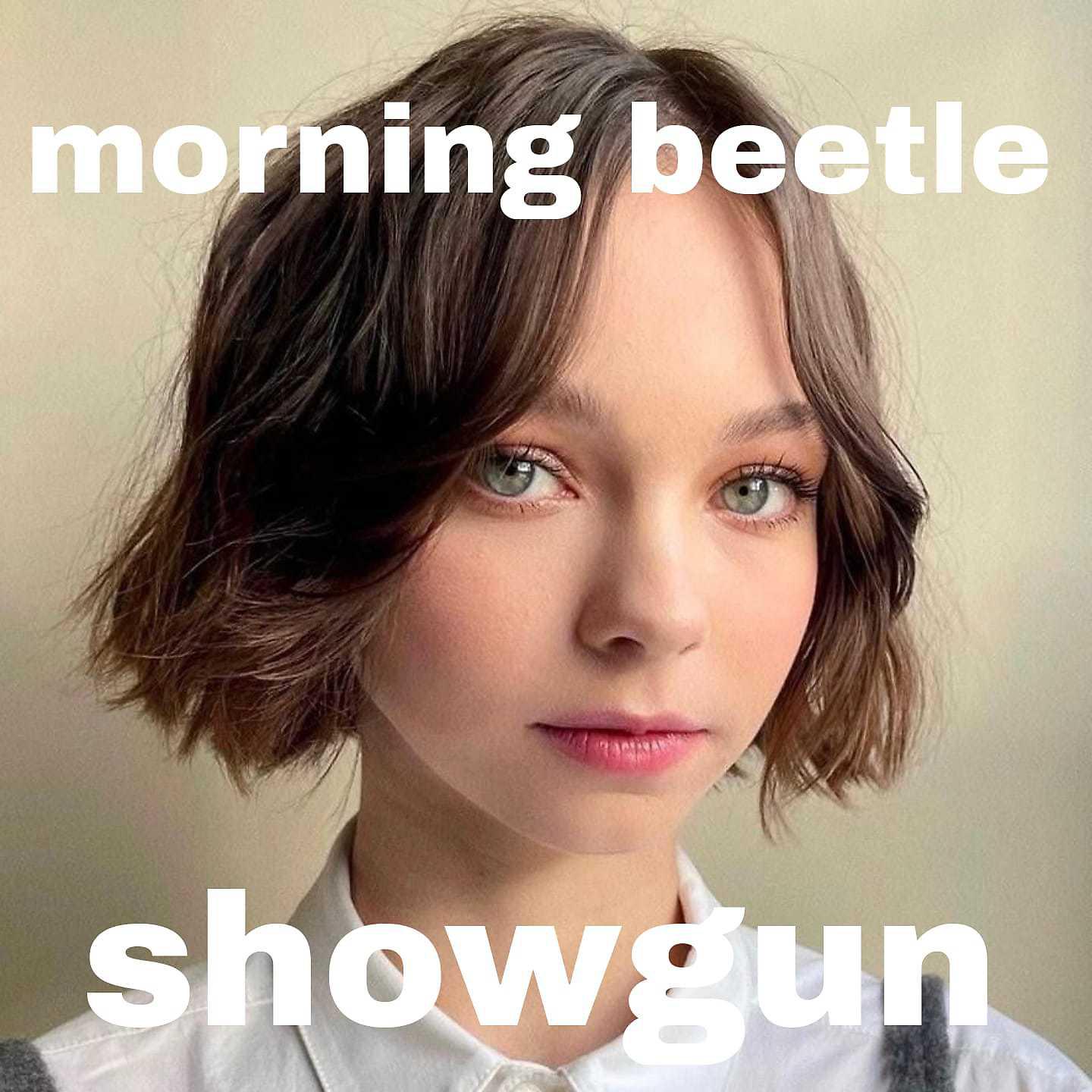 Постер альбома morning beetle