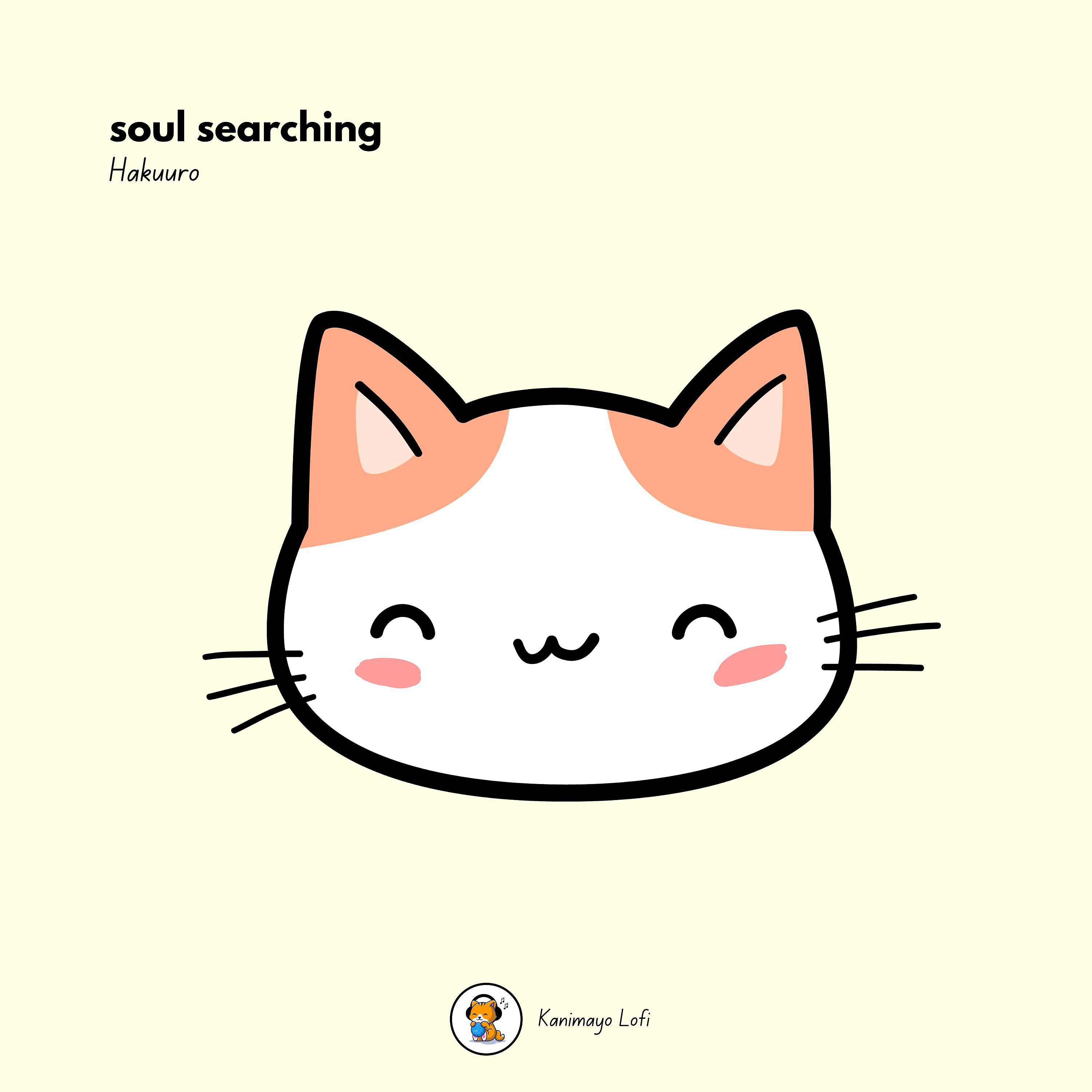 Постер альбома soul searching