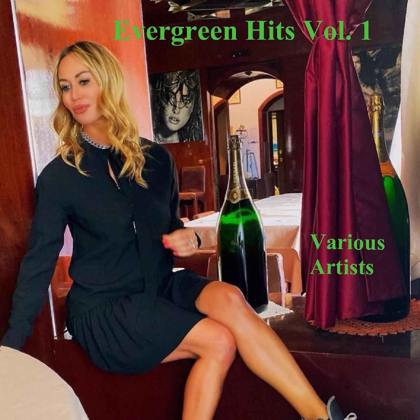 Постер альбома Evergreen Hits, Vol. 1