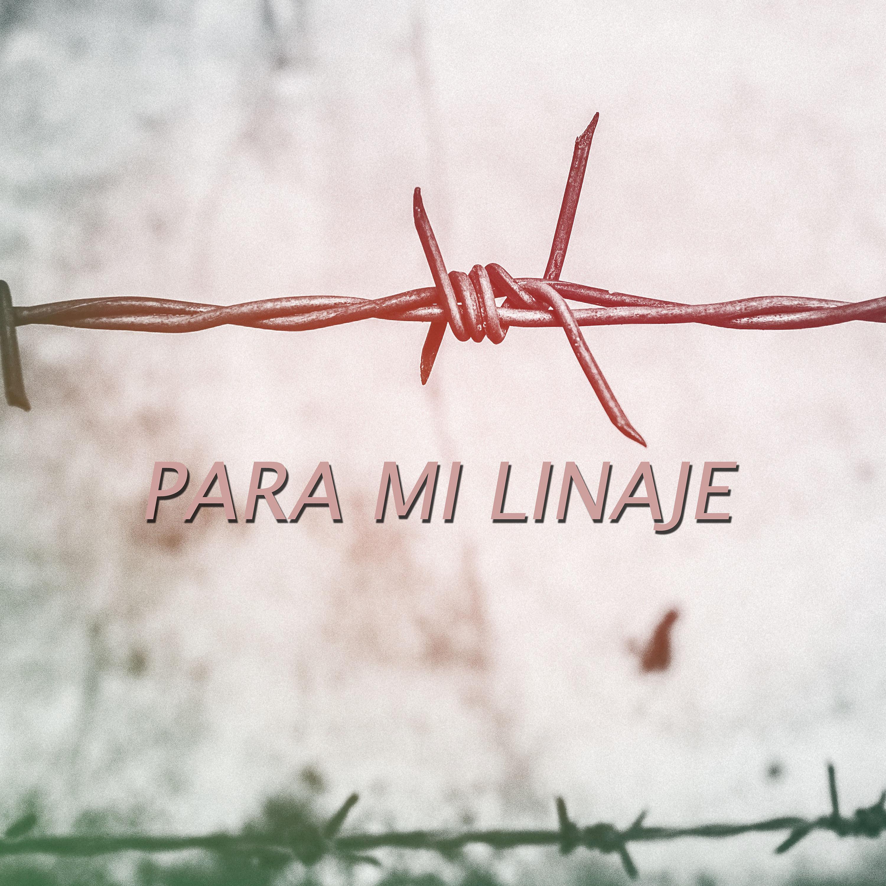 Постер альбома Para Mi Linaje