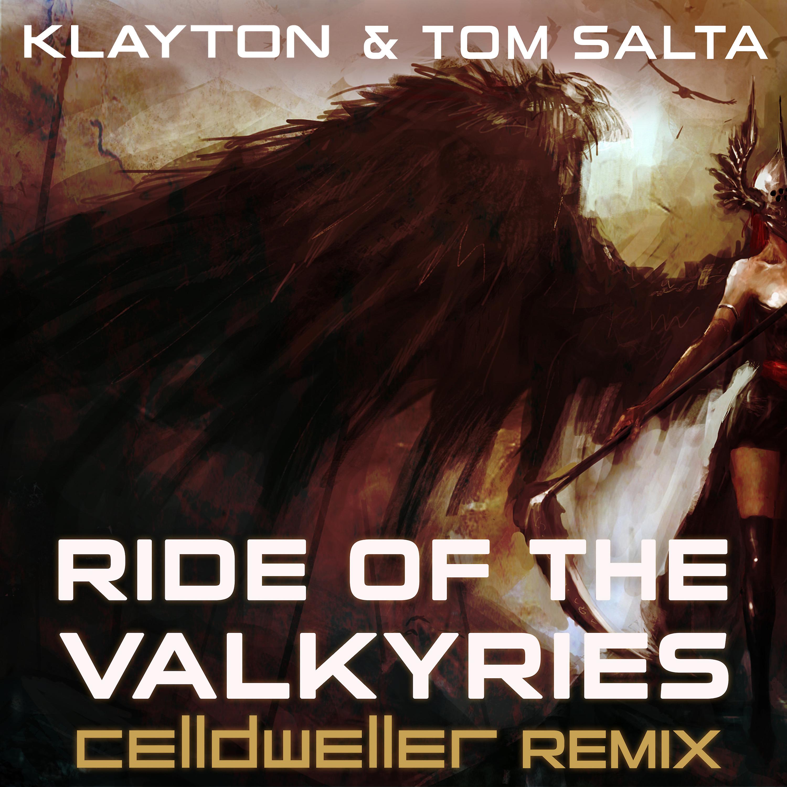 Постер альбома Ride of the Valkyries