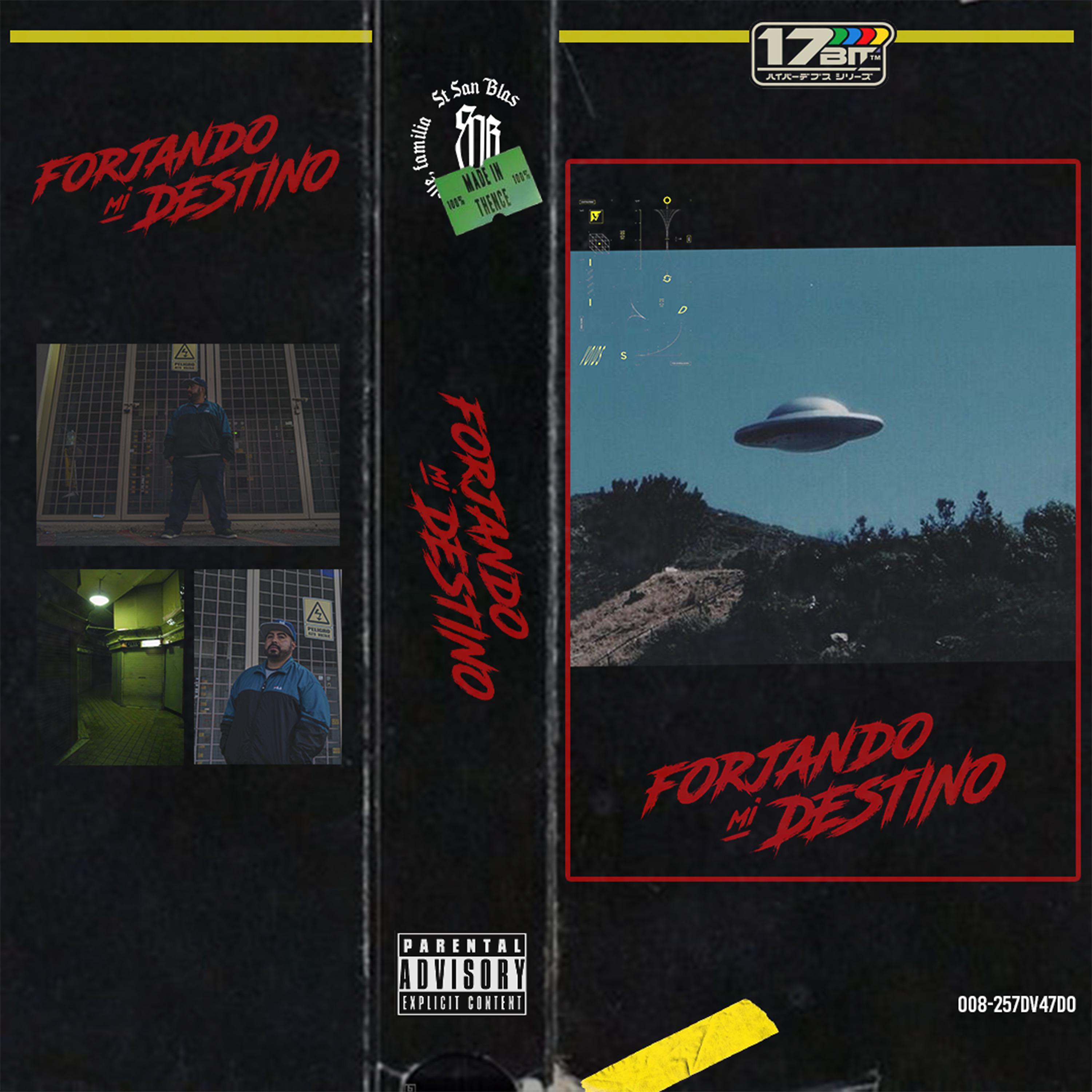 Постер альбома Forjando Mi Destino