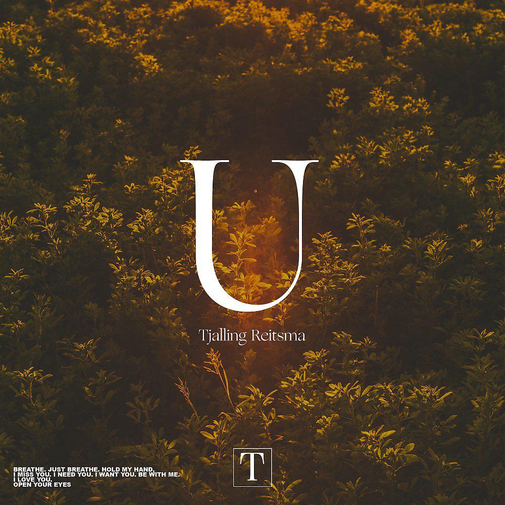 Постер альбома U (I Love You)