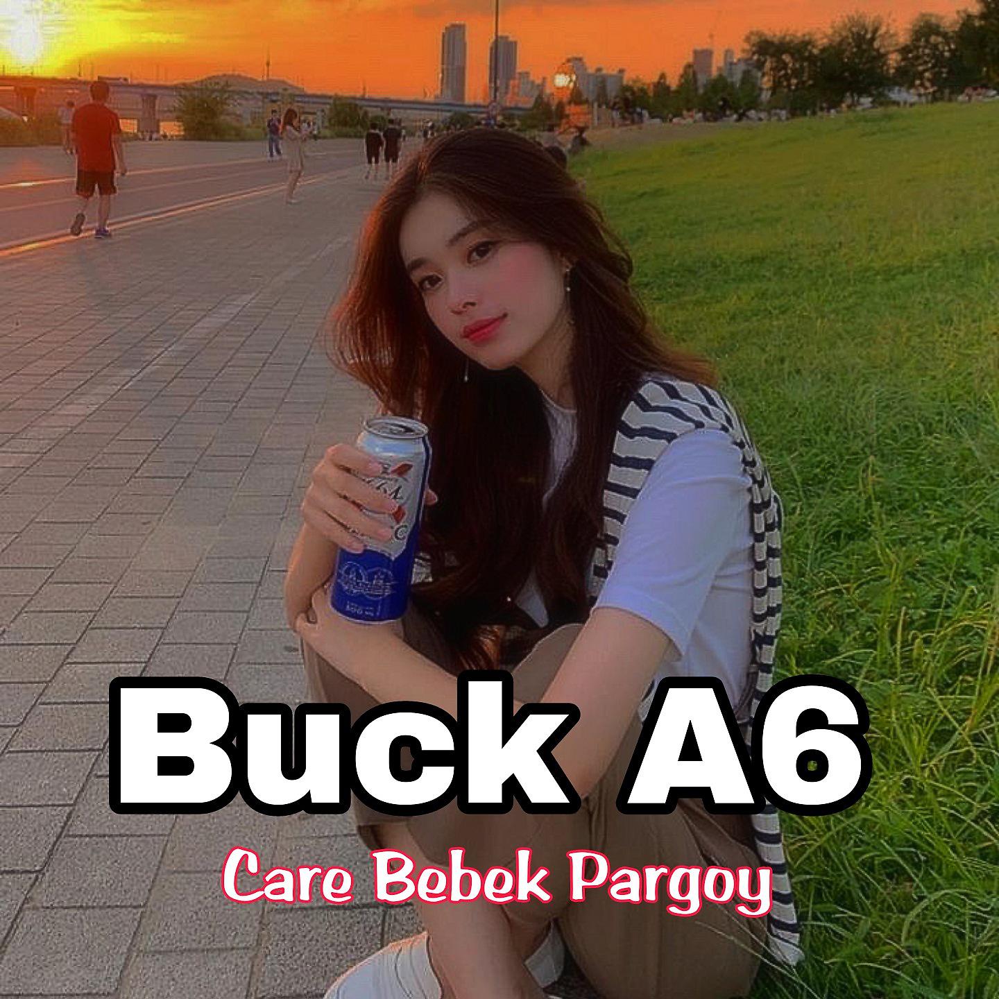 Постер альбома Care Bebek Pargoy