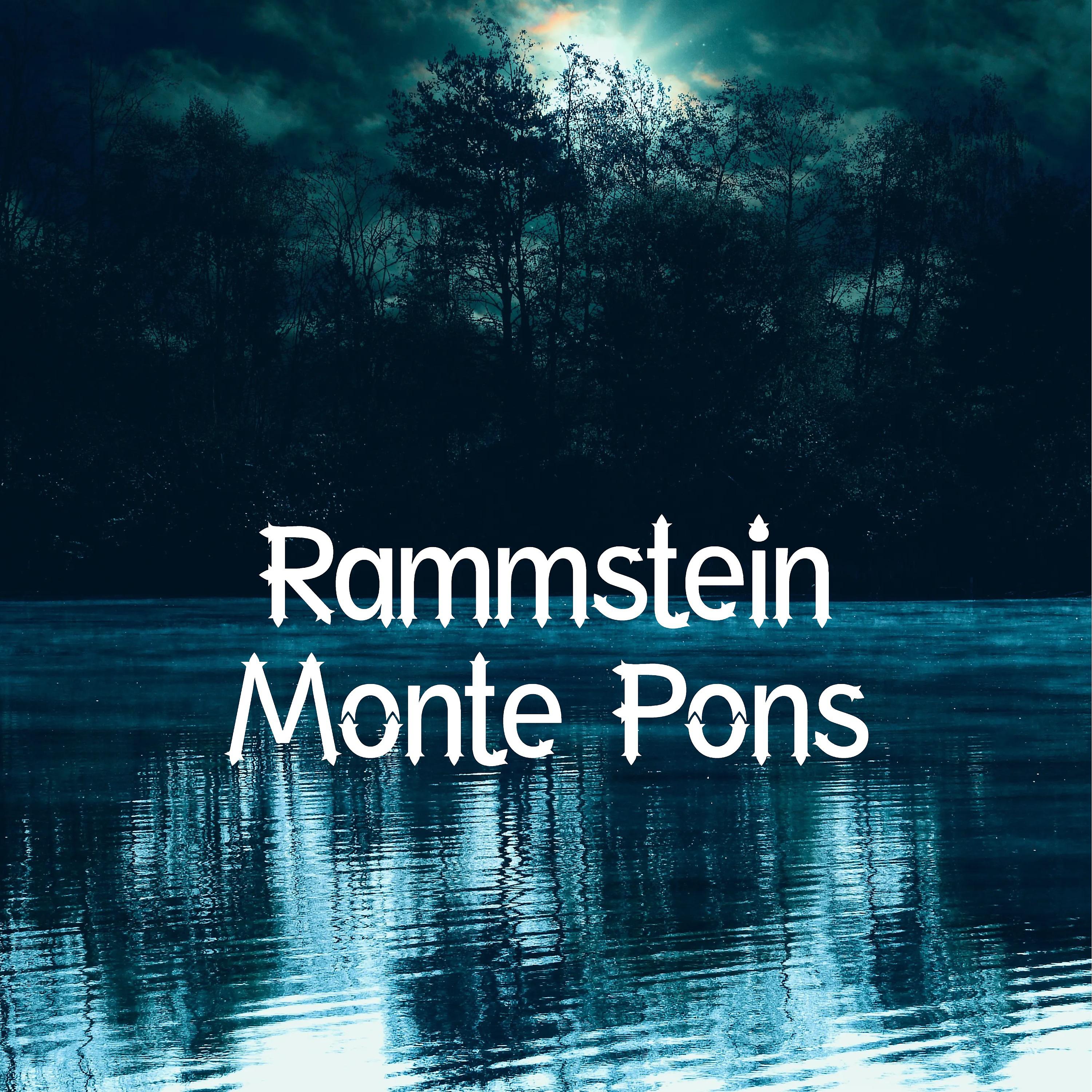 Постер альбома Rammstein