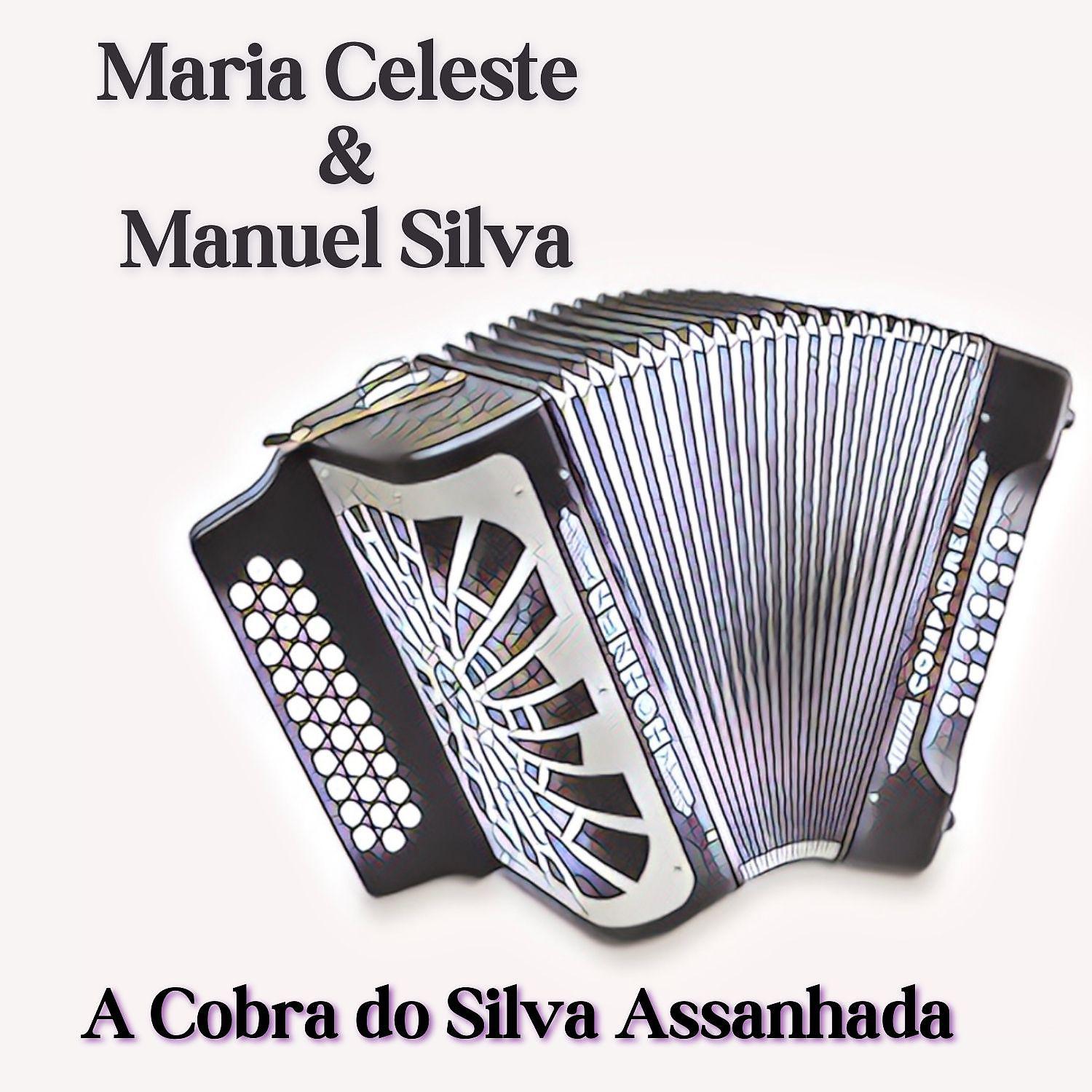 Постер альбома A Cobra Do Silva Assanhada