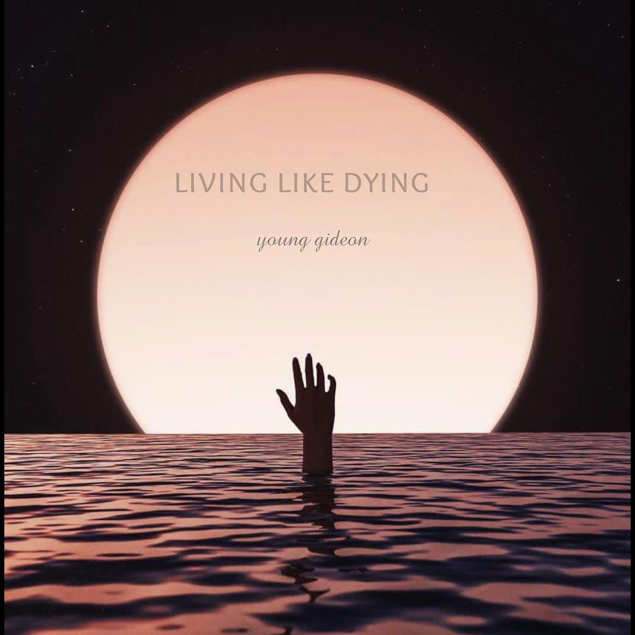 Постер альбома Living Like Dying