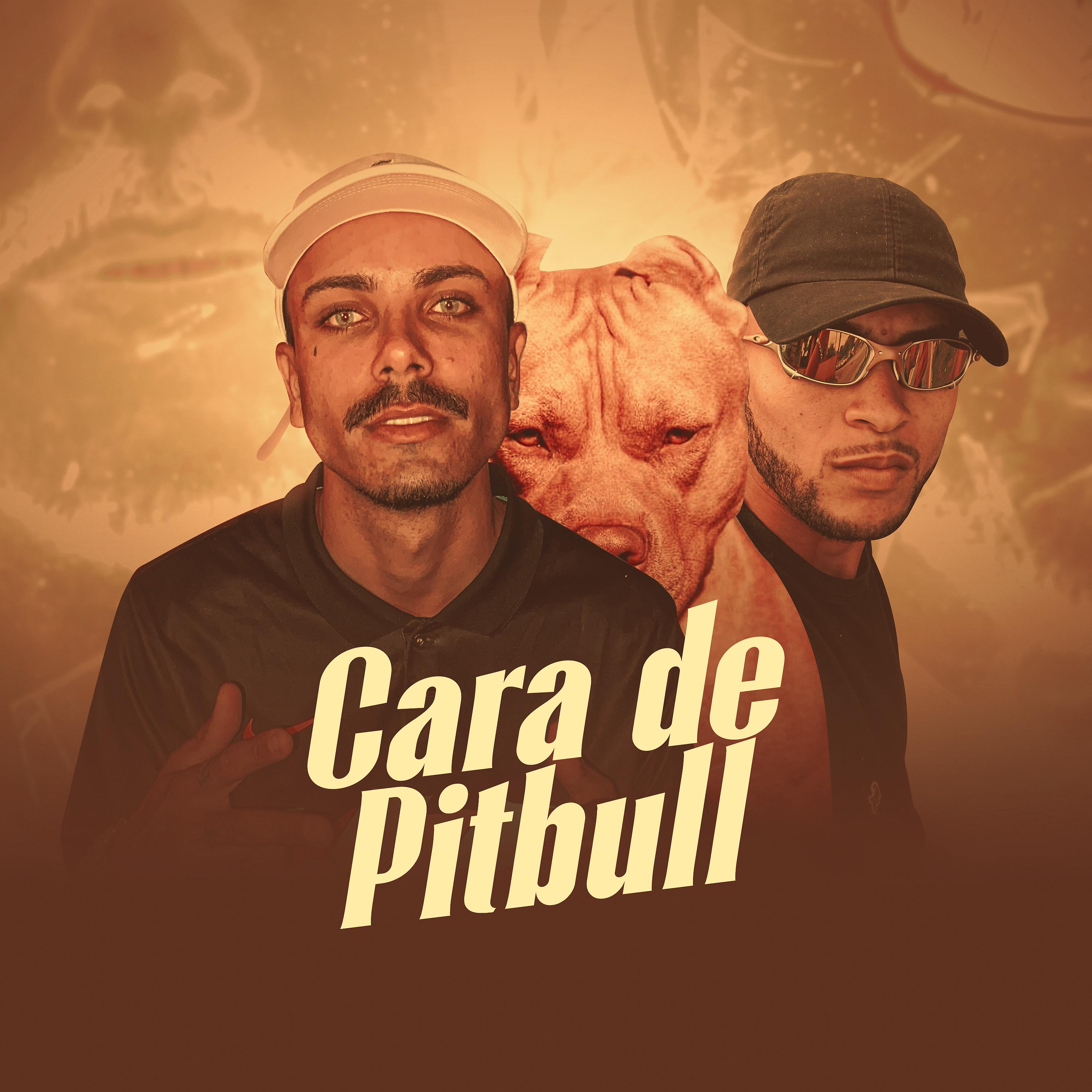 Постер альбома Cara de Pitbull