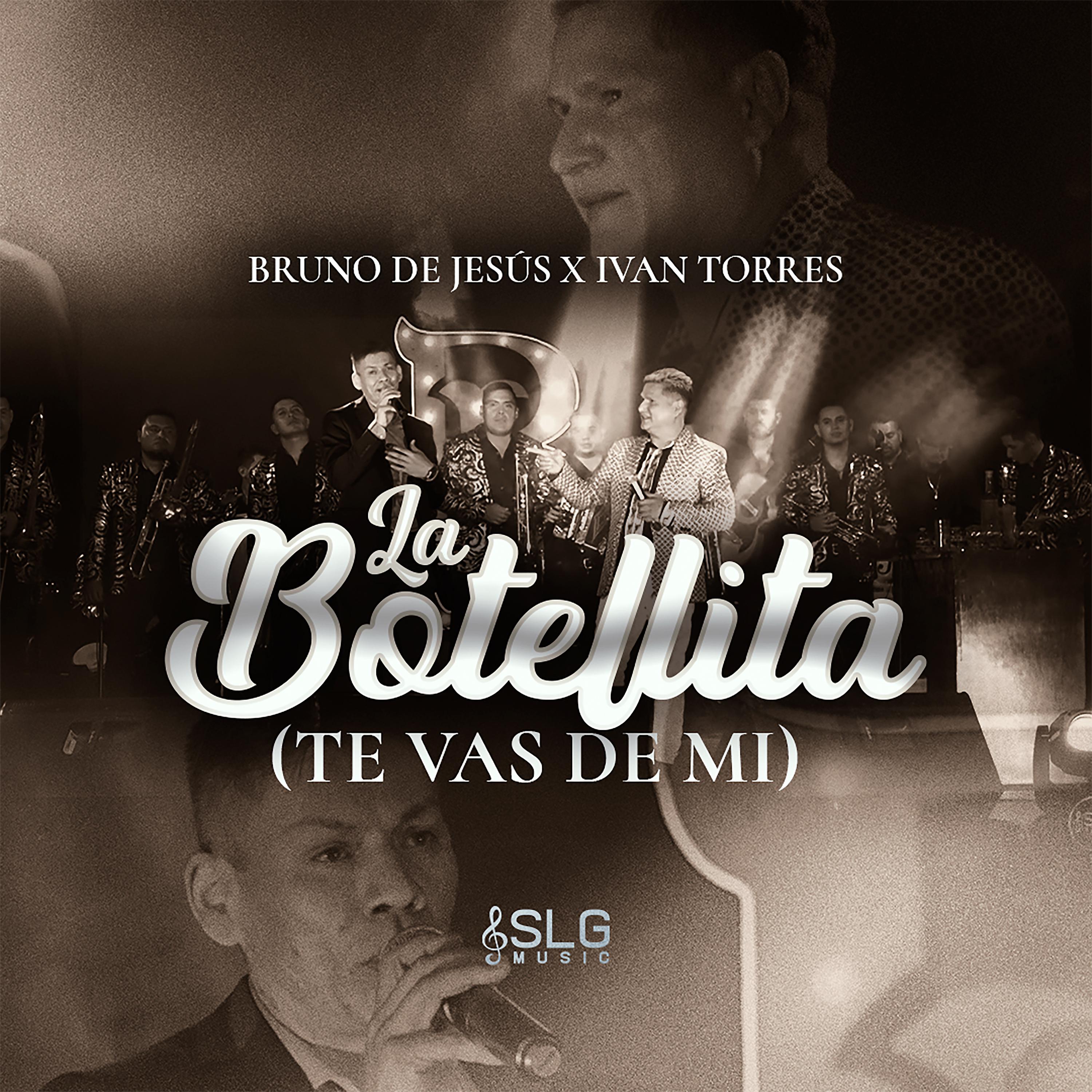 Постер альбома La Botellita / Te Vas de Mi