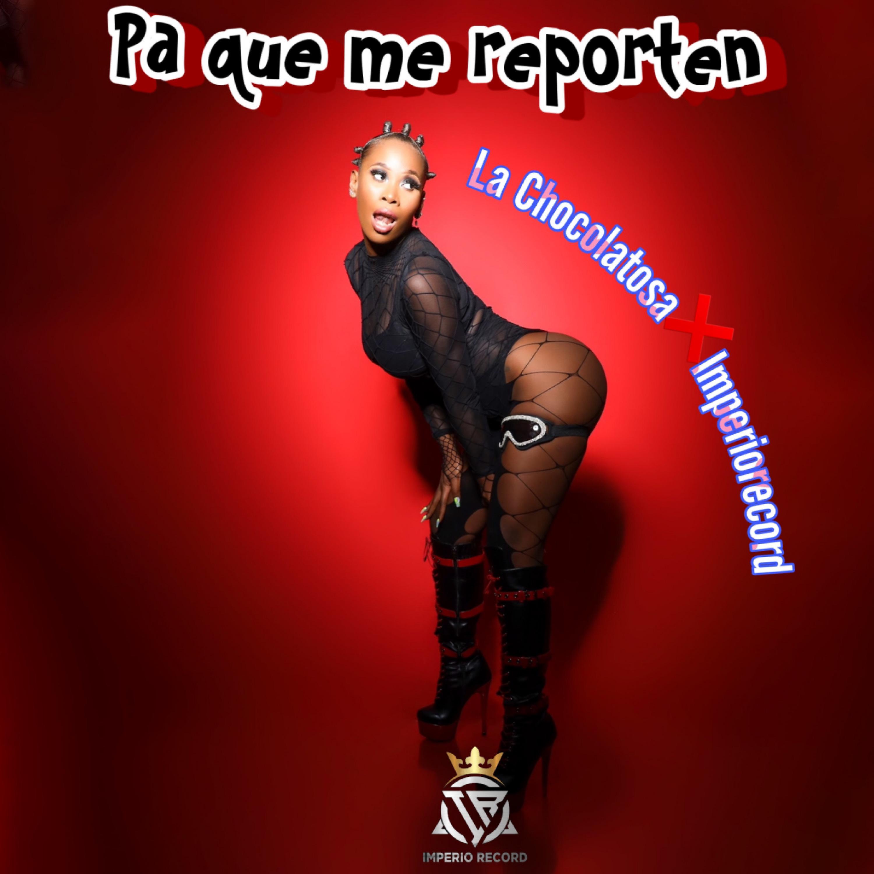 Постер альбома Pa Que Me Reporten