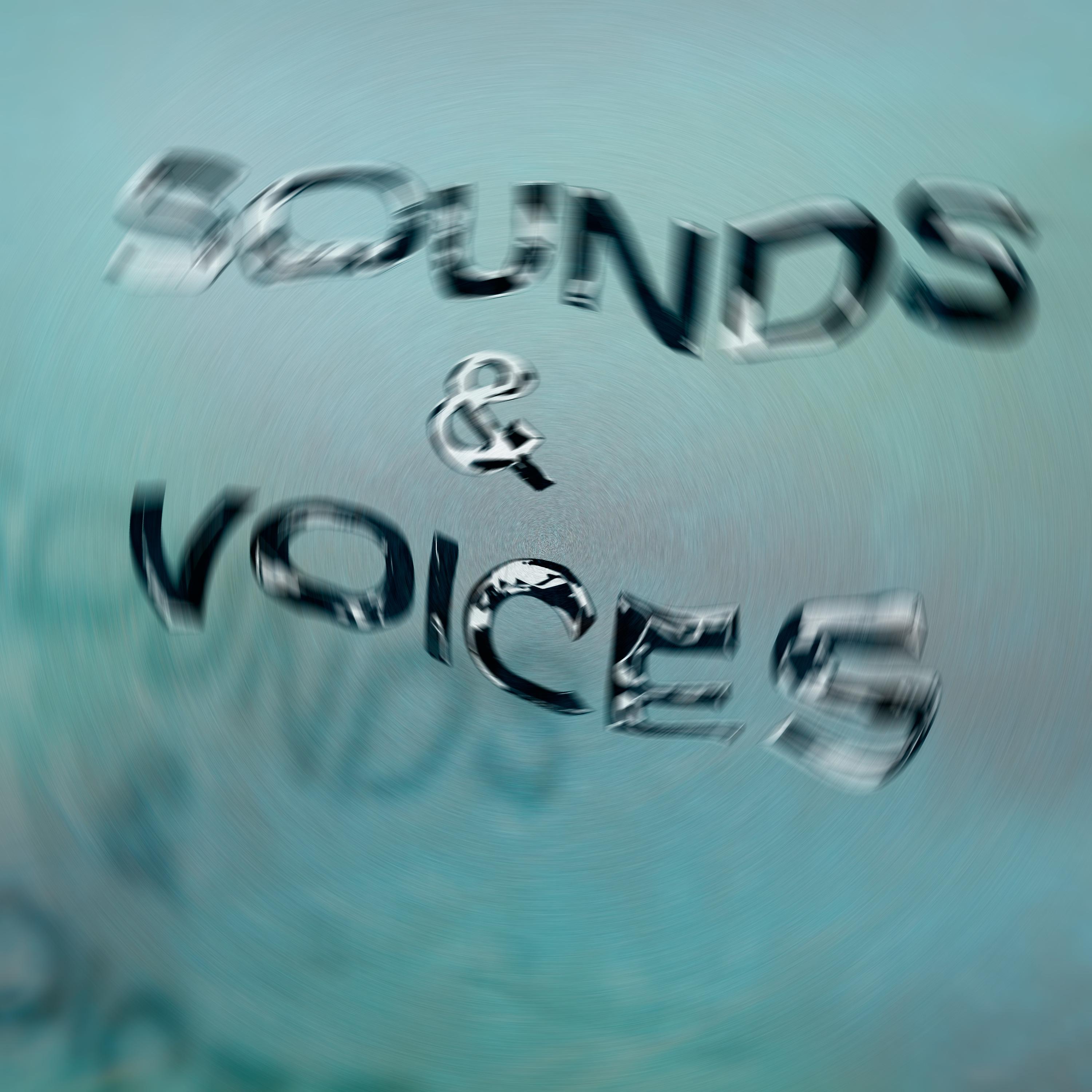 Постер альбома Sounds & Voices