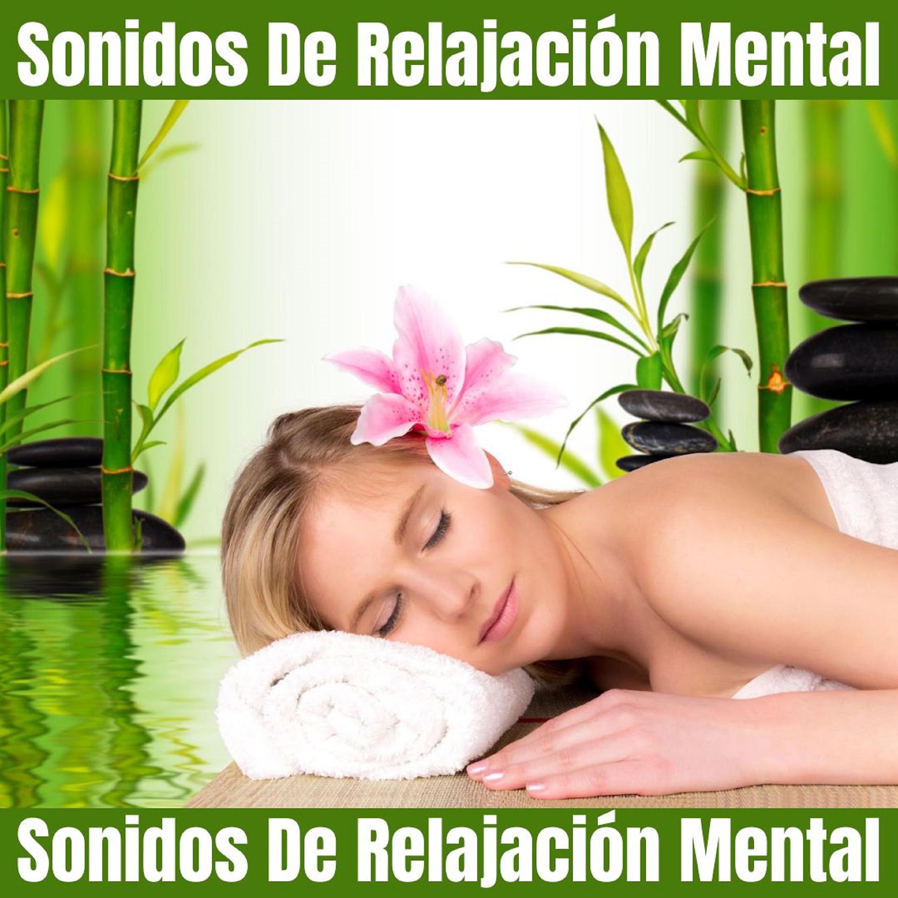 Постер альбома Sonidos De Relajación Mental