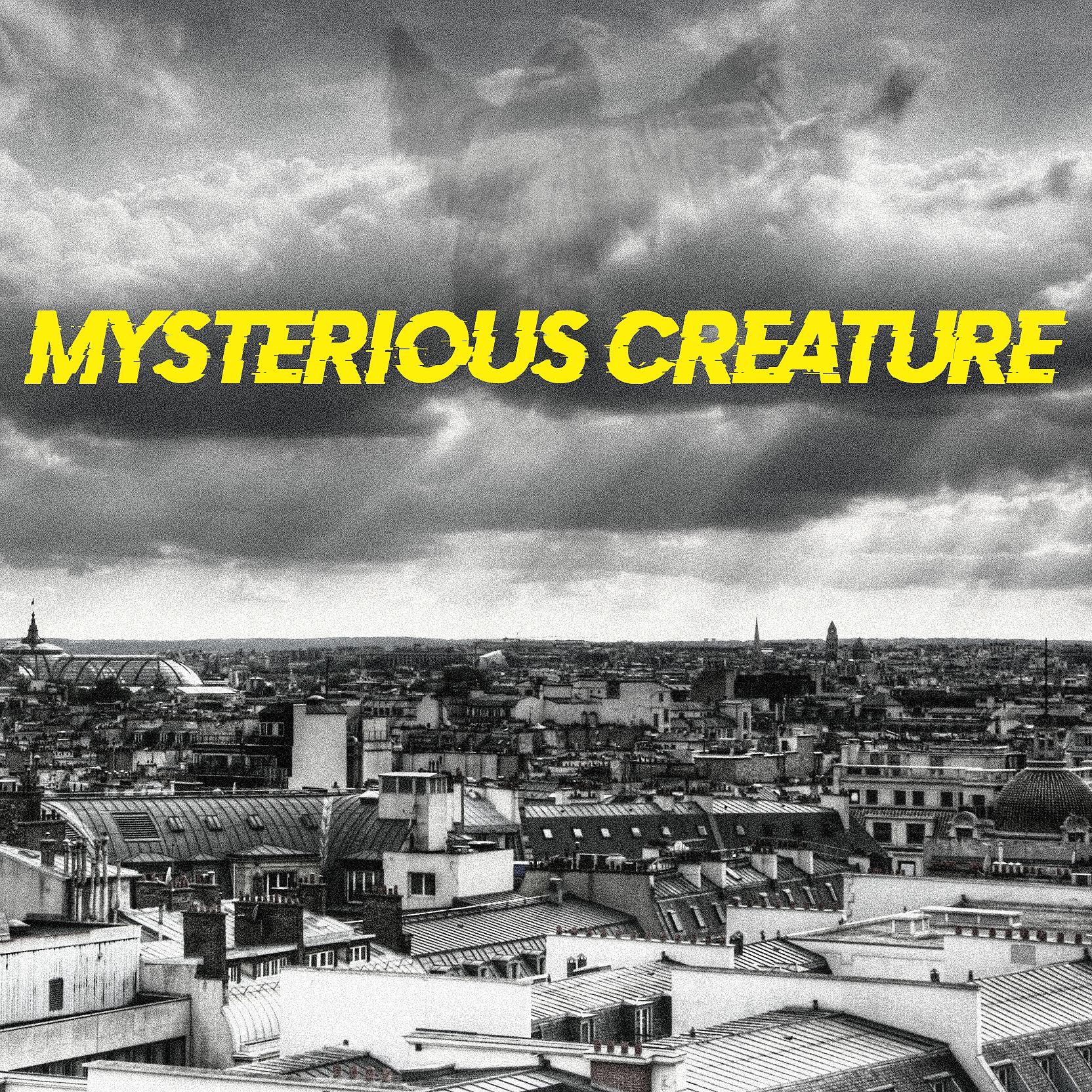 Постер альбома Mysterious Creature