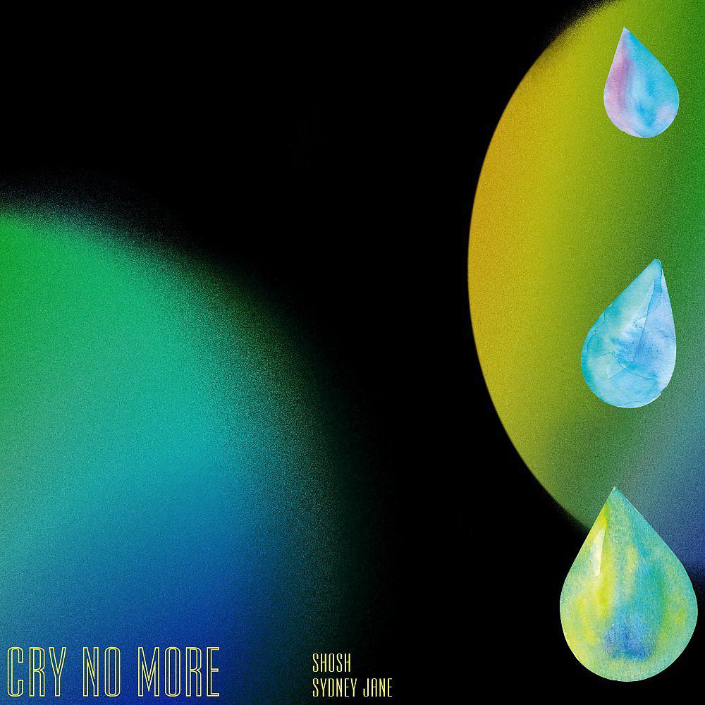 Постер альбома Cry No More