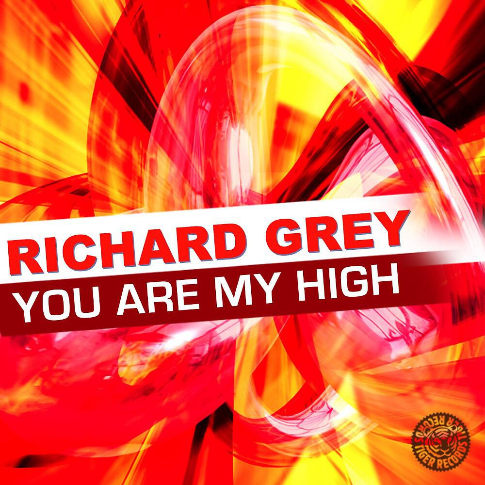 Richard Grey - You Are My High (David Jones Remix)