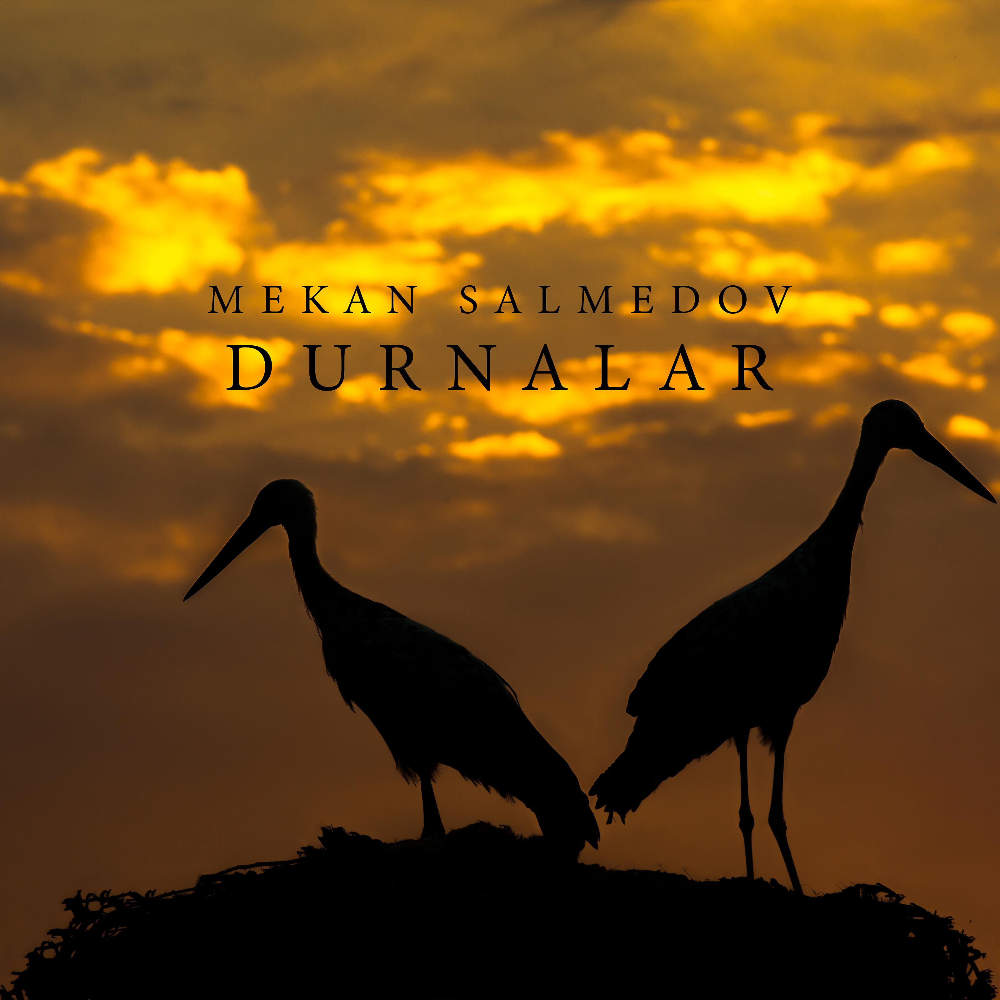 Постер альбома Durnalar