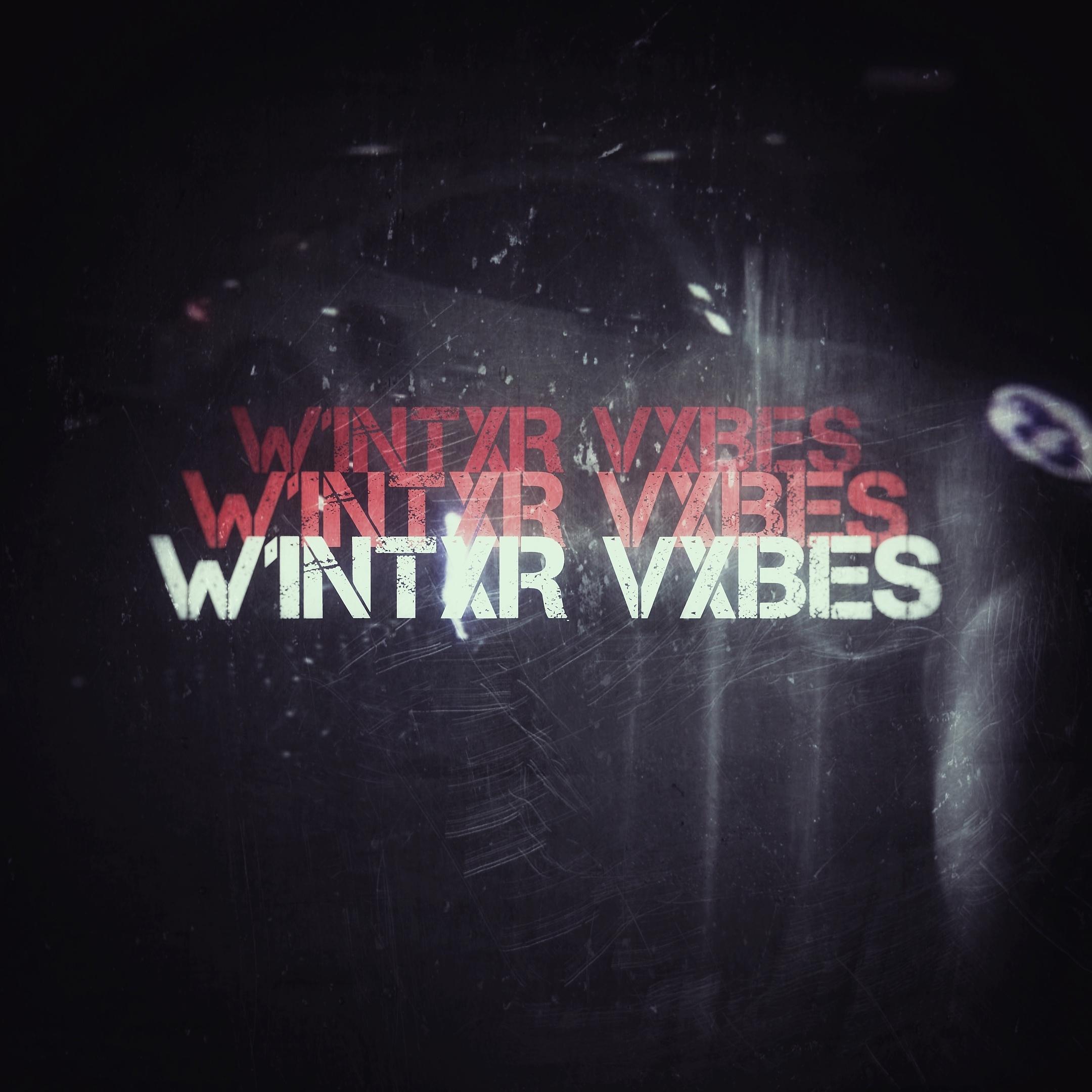 Постер альбома W1ntxr Vxbes
