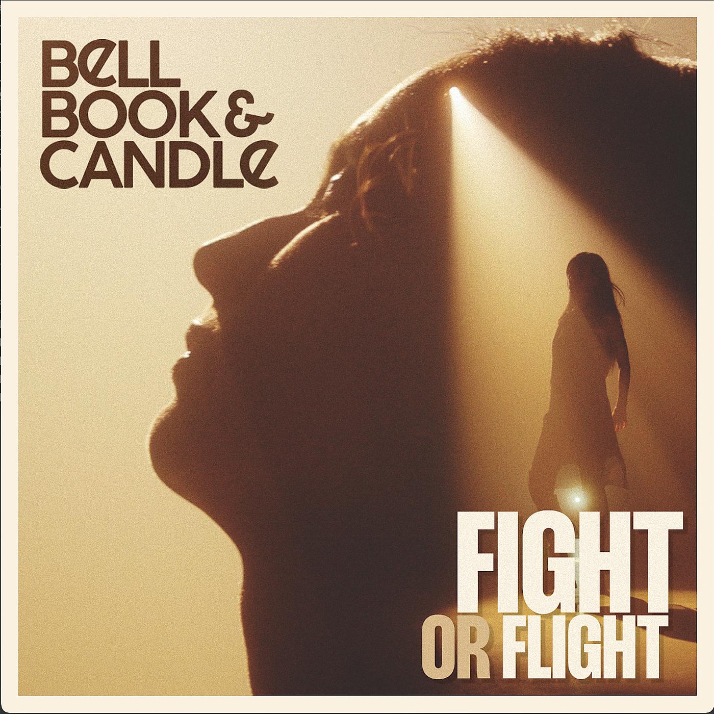 Постер альбома Fight or Flight
