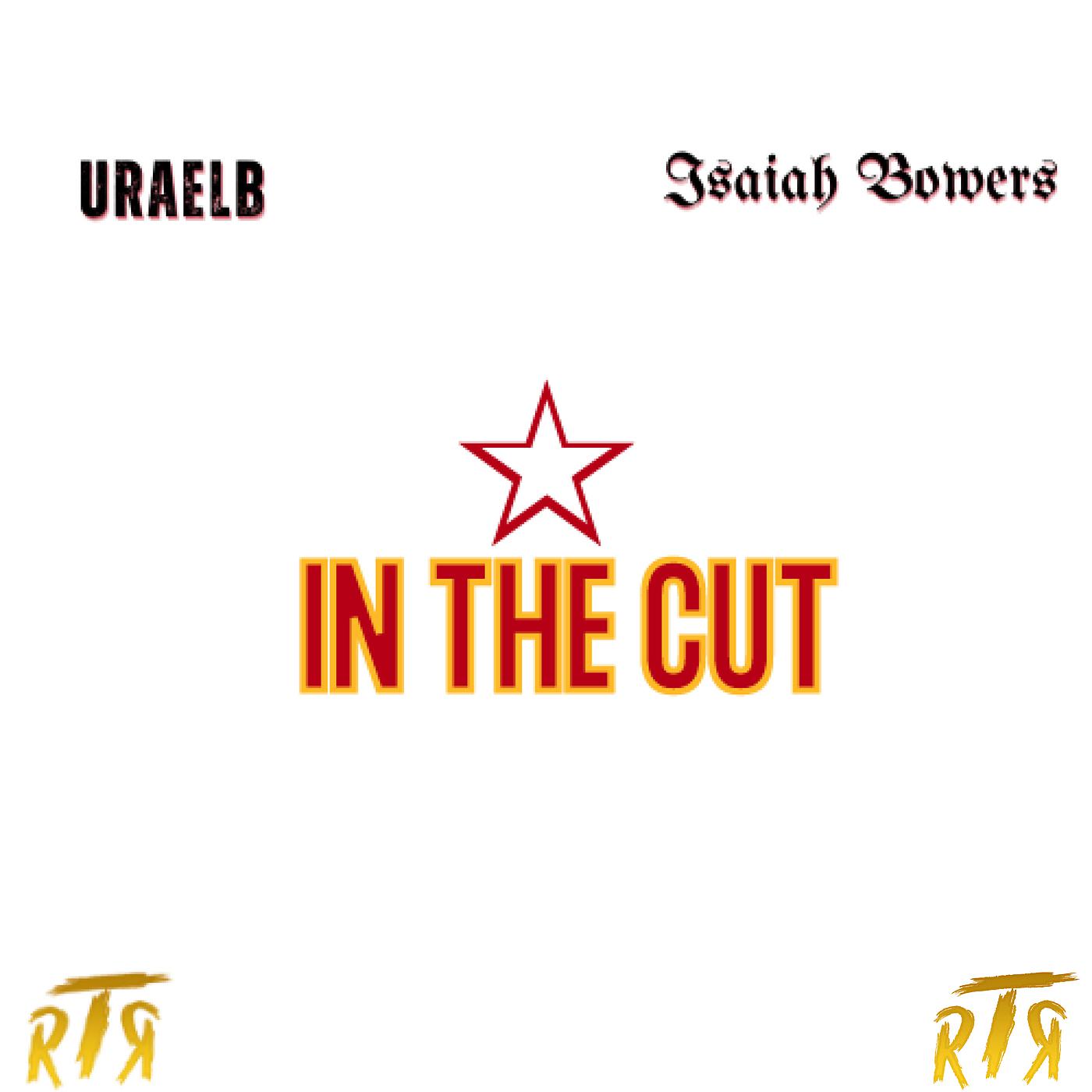 Постер альбома In the Cut