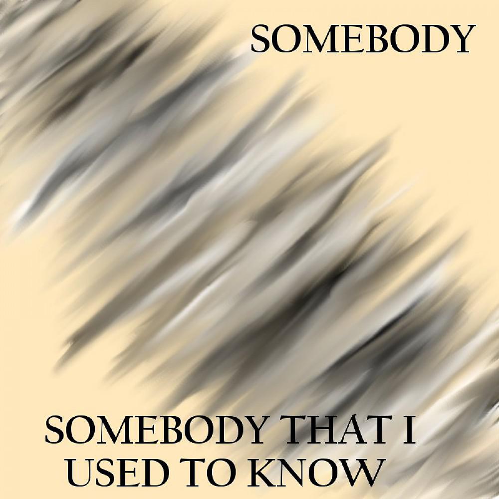 Постер альбома Somebody That I Used to Know