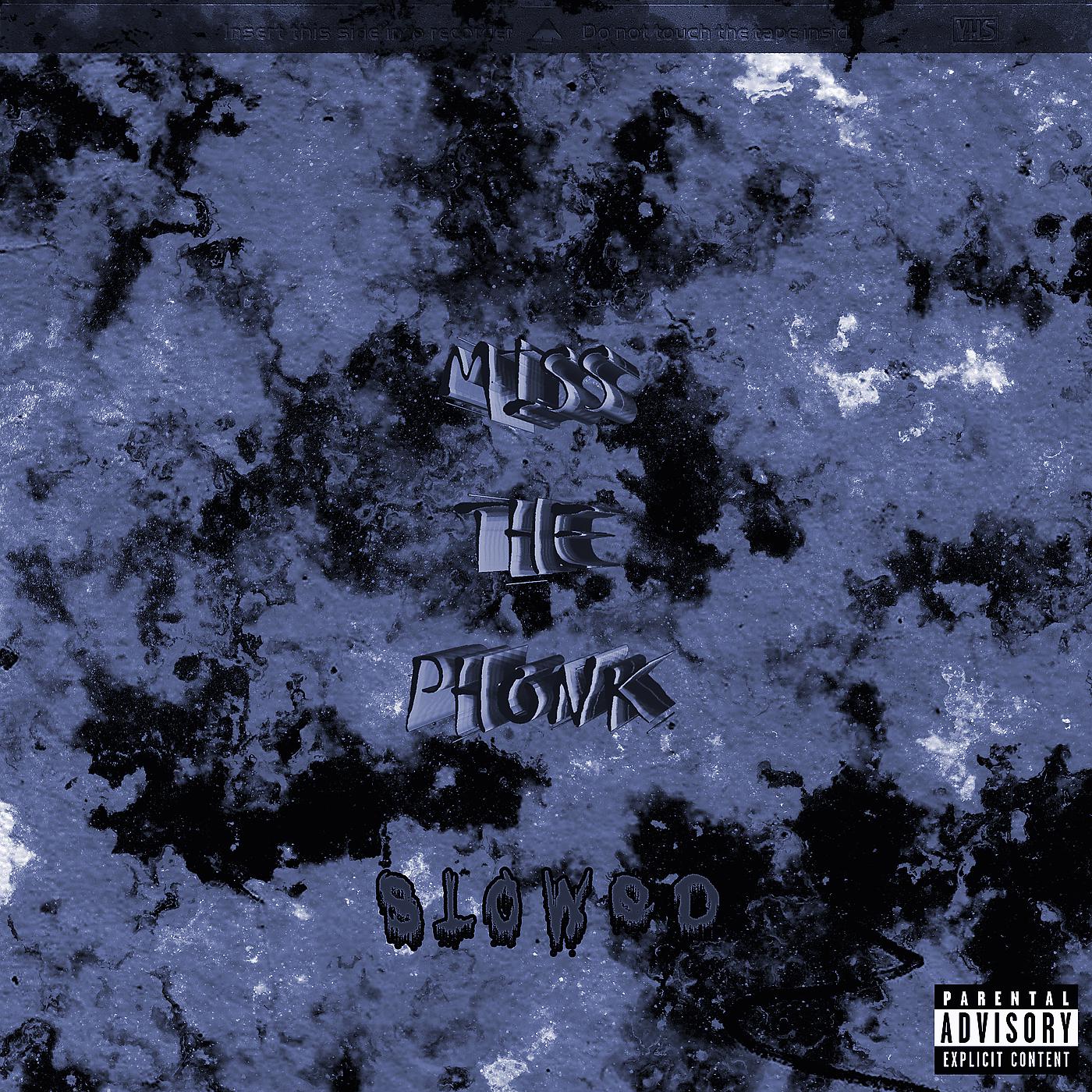 Постер альбома Miss the Phonk (Slowed)