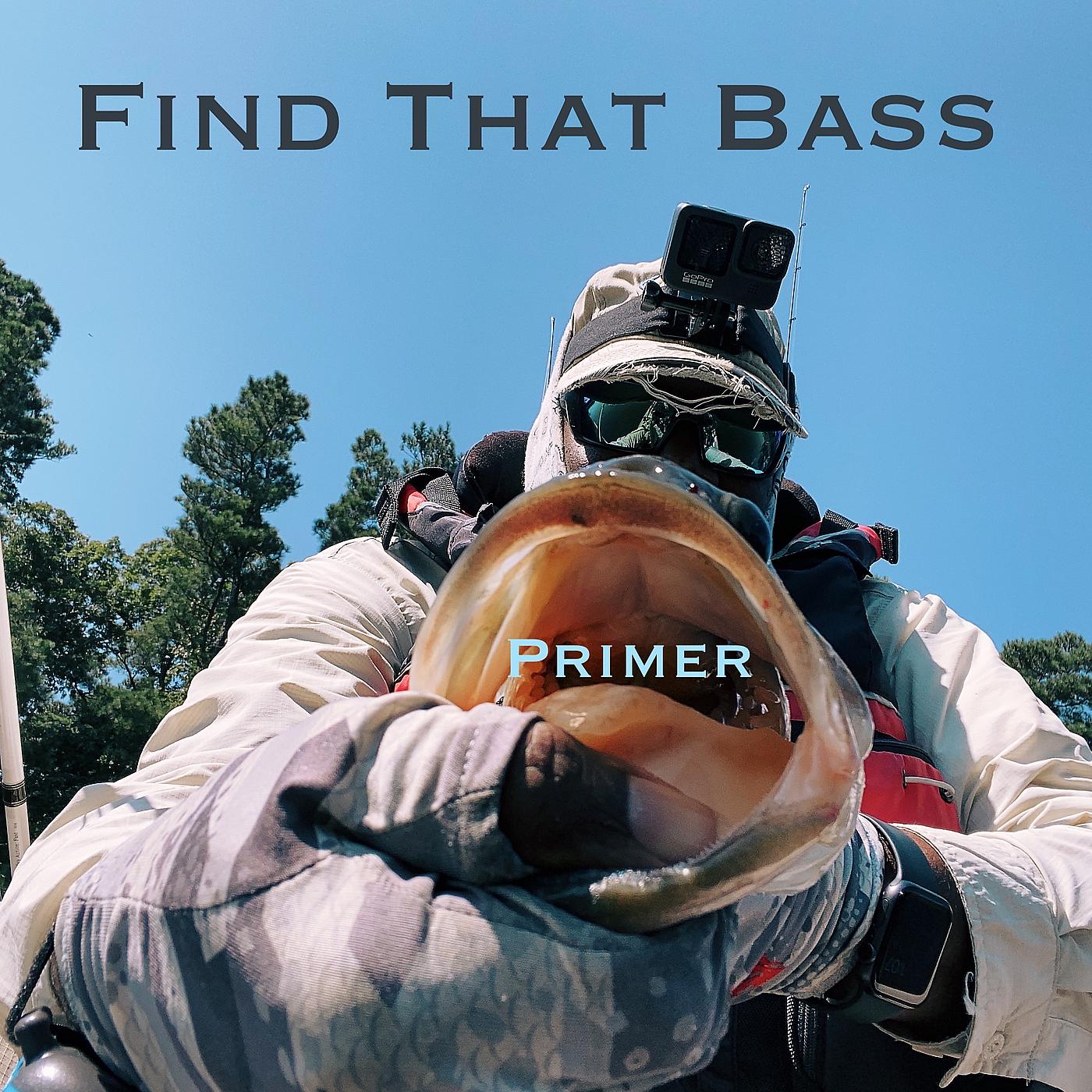 Постер альбома Find That Bass