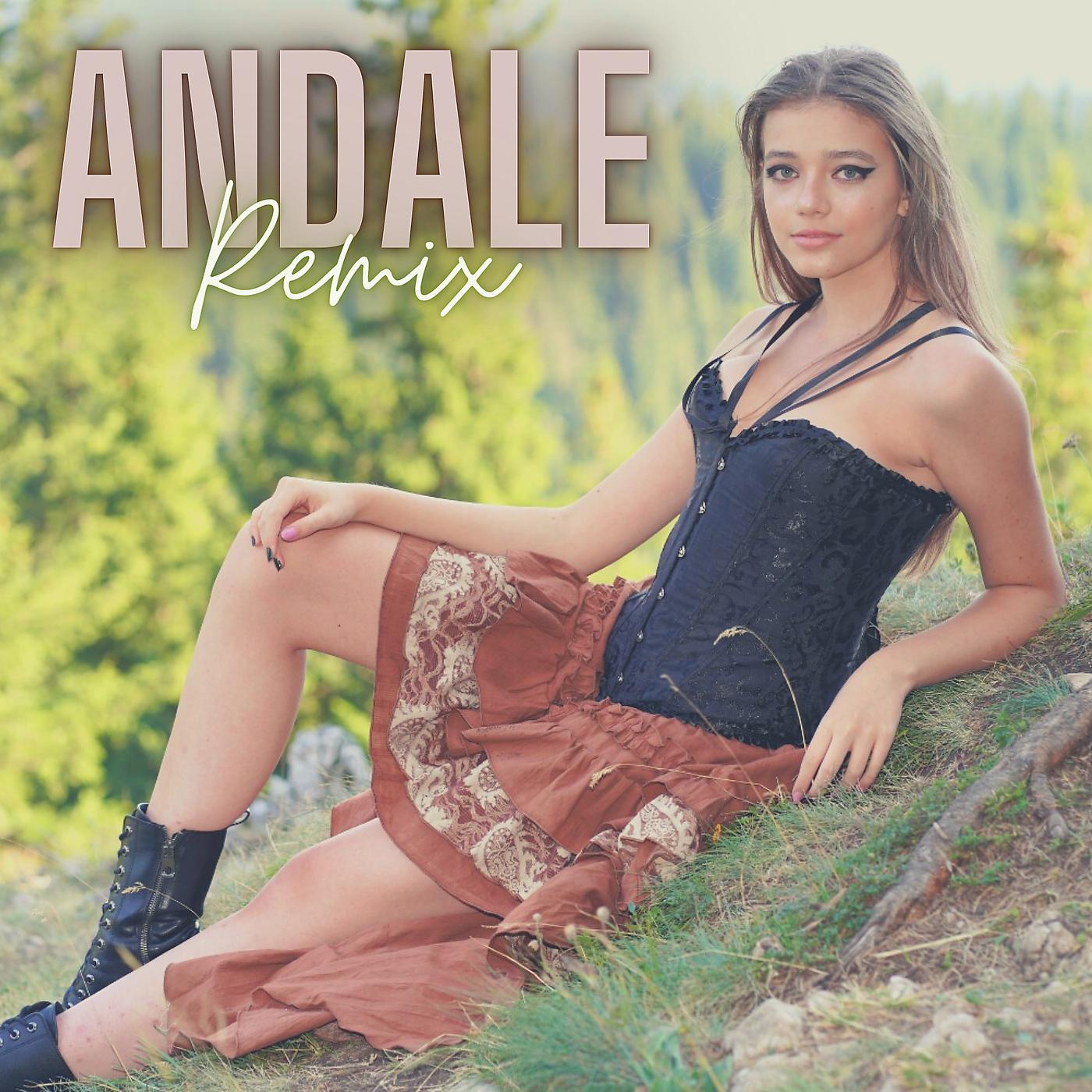 Постер альбома Andale (Remix)