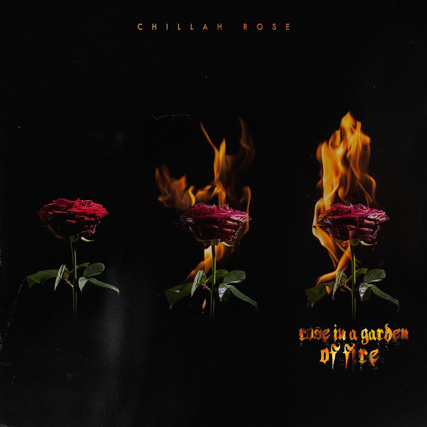 Постер альбома Rose in a Garden of Fire