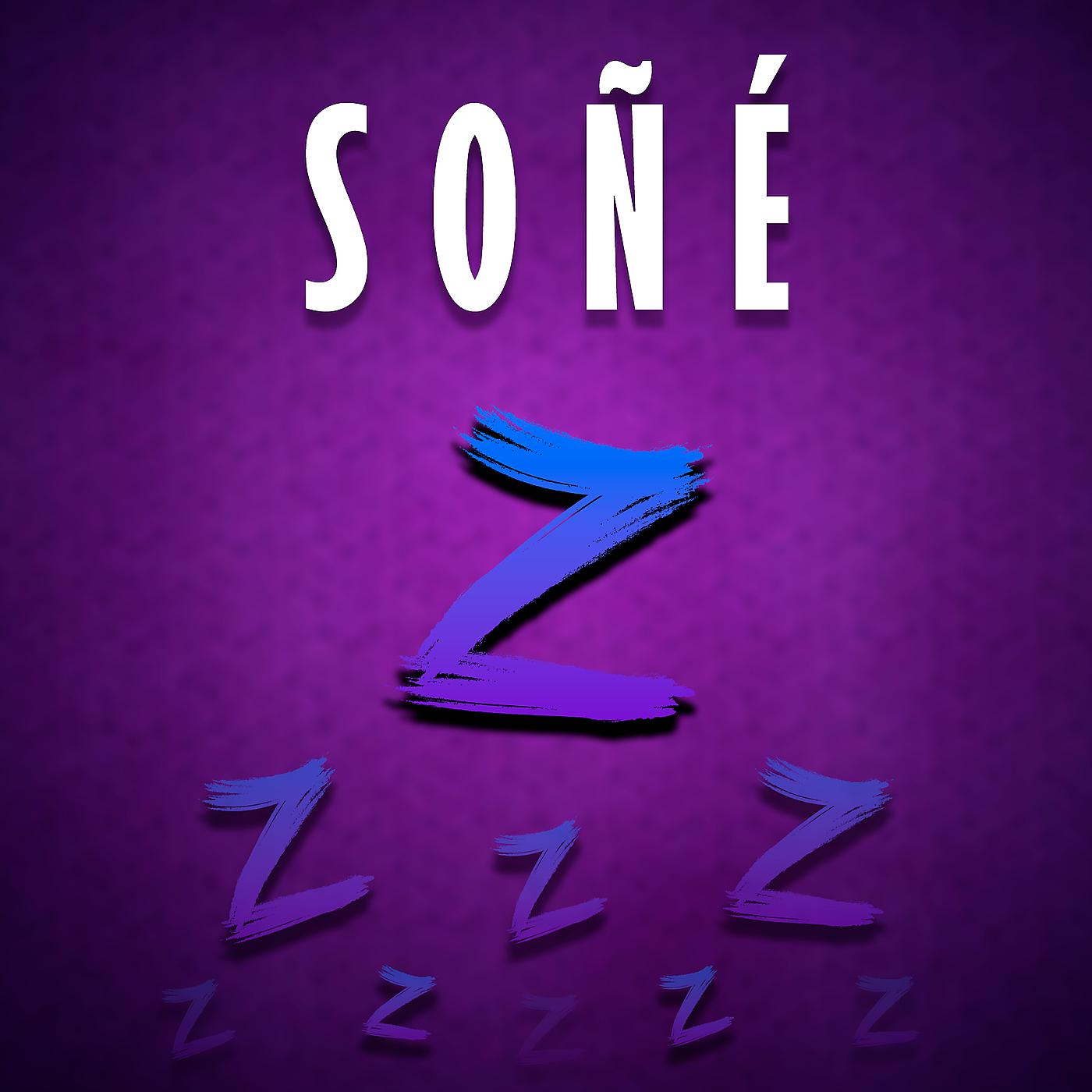 Постер альбома Soñé