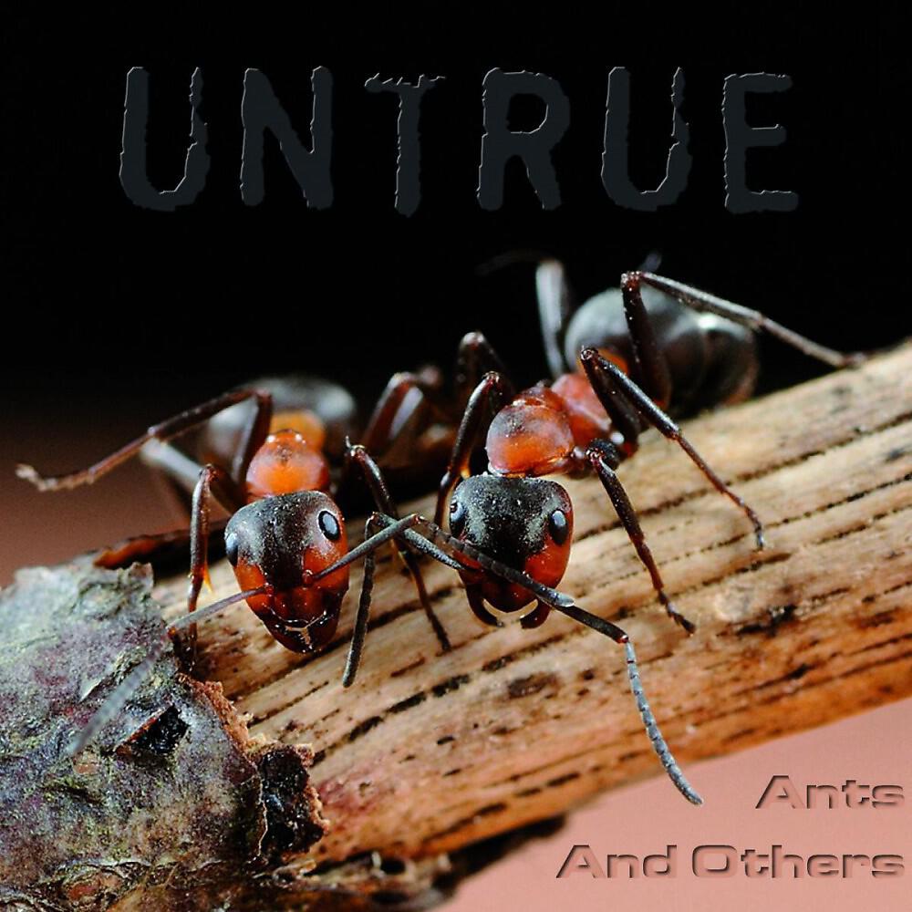 Untrue The Band - It's OK