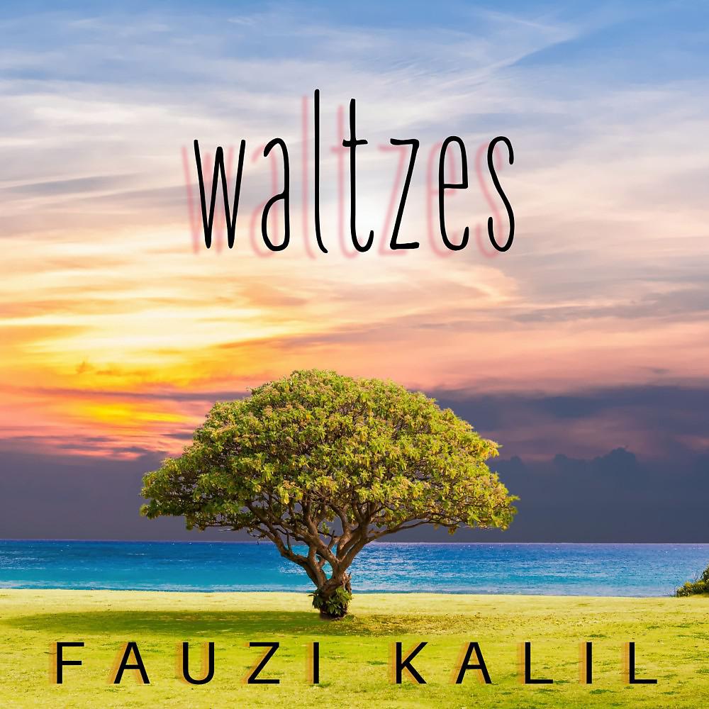 Постер альбома Waltzes