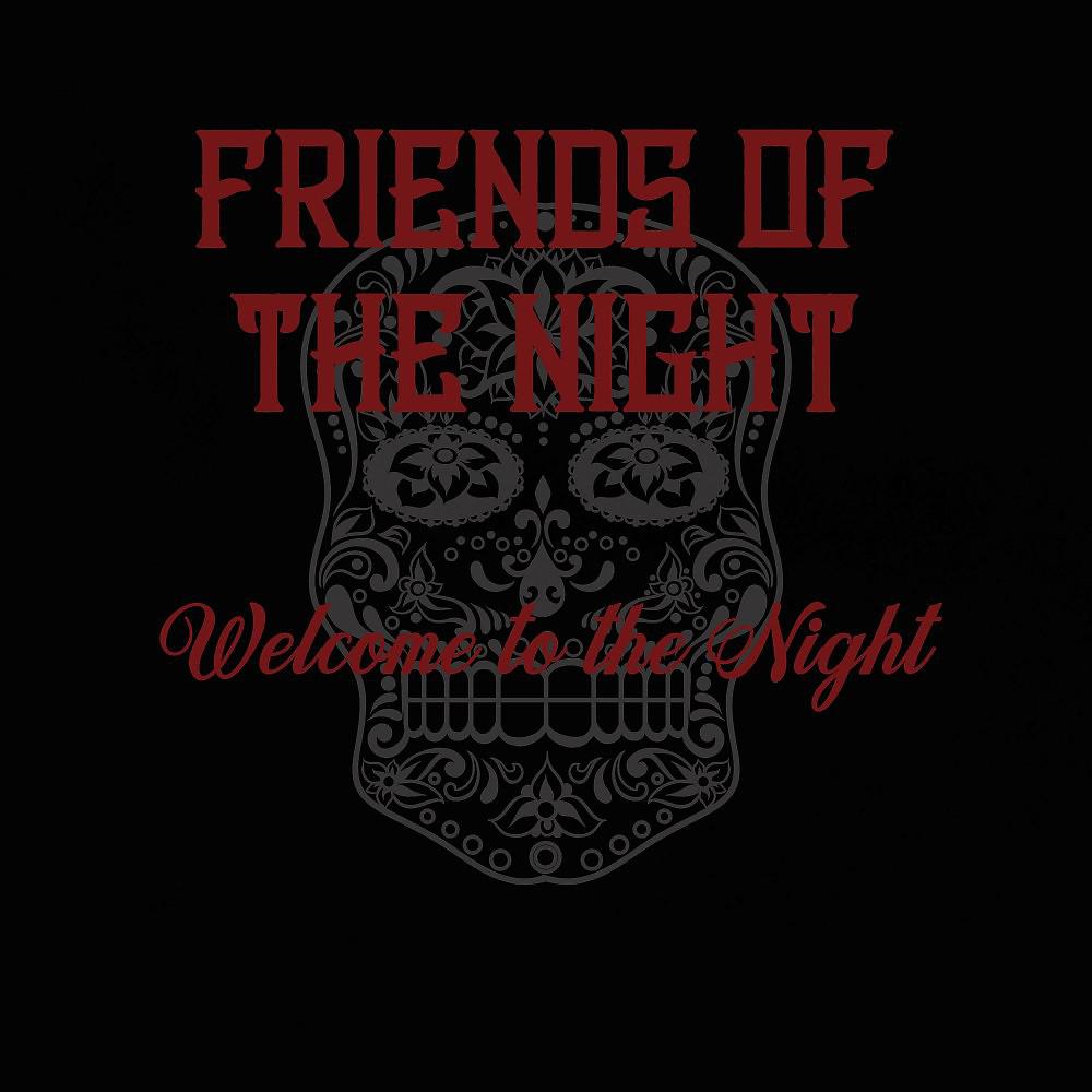 Постер альбома Welcome to the Night