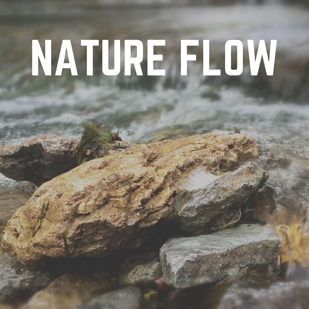 Постер альбома Nature Flow