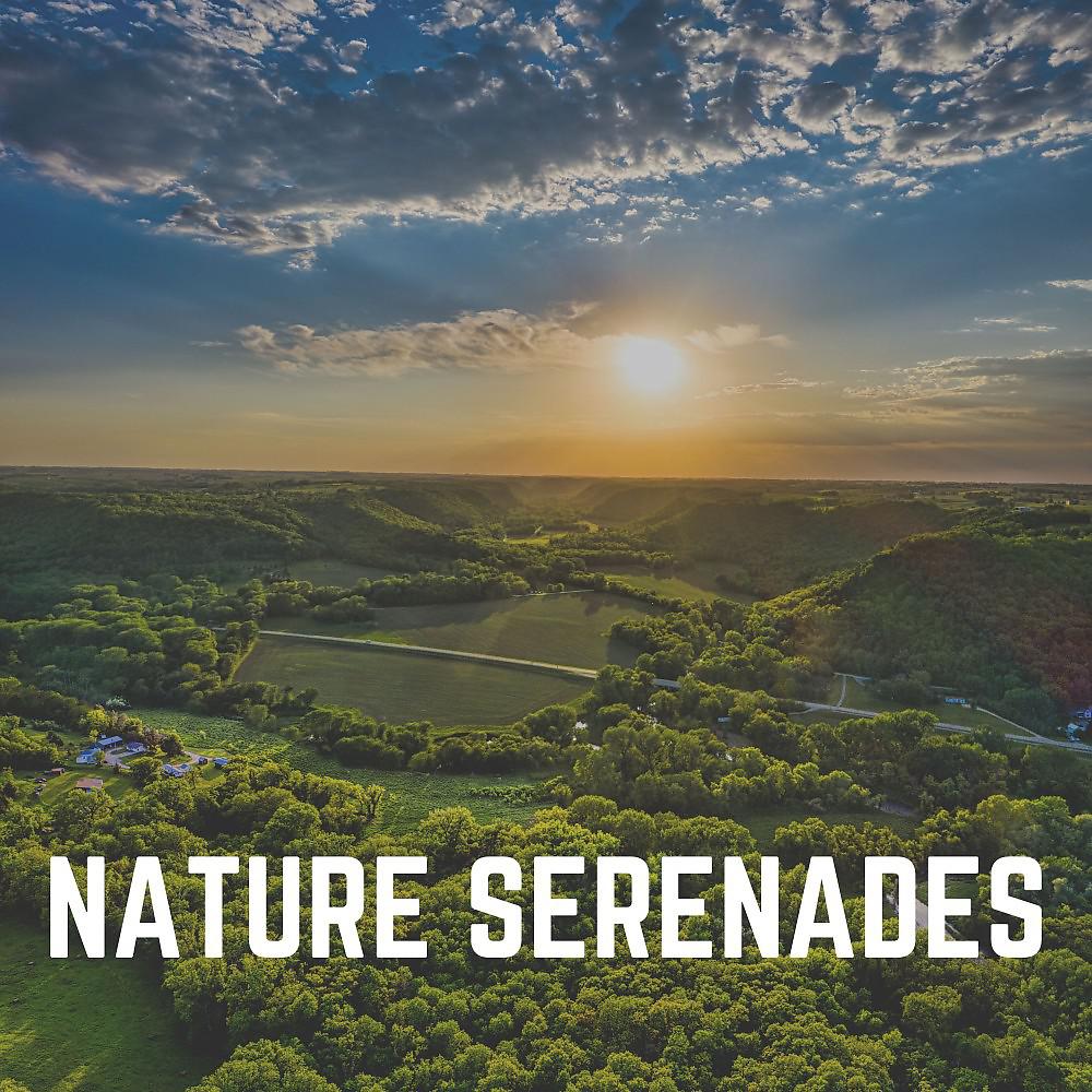 Постер альбома Nature Serenades