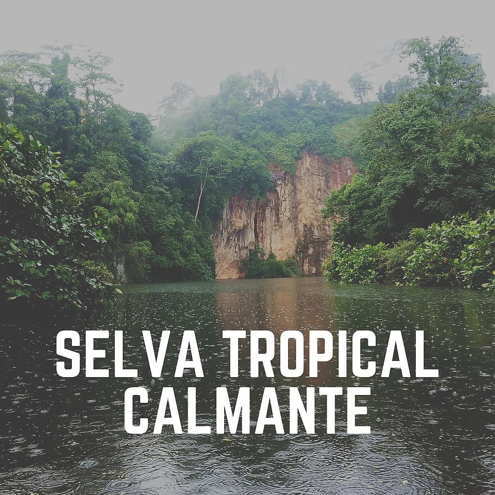 Постер альбома Selva Tropical Calmante
