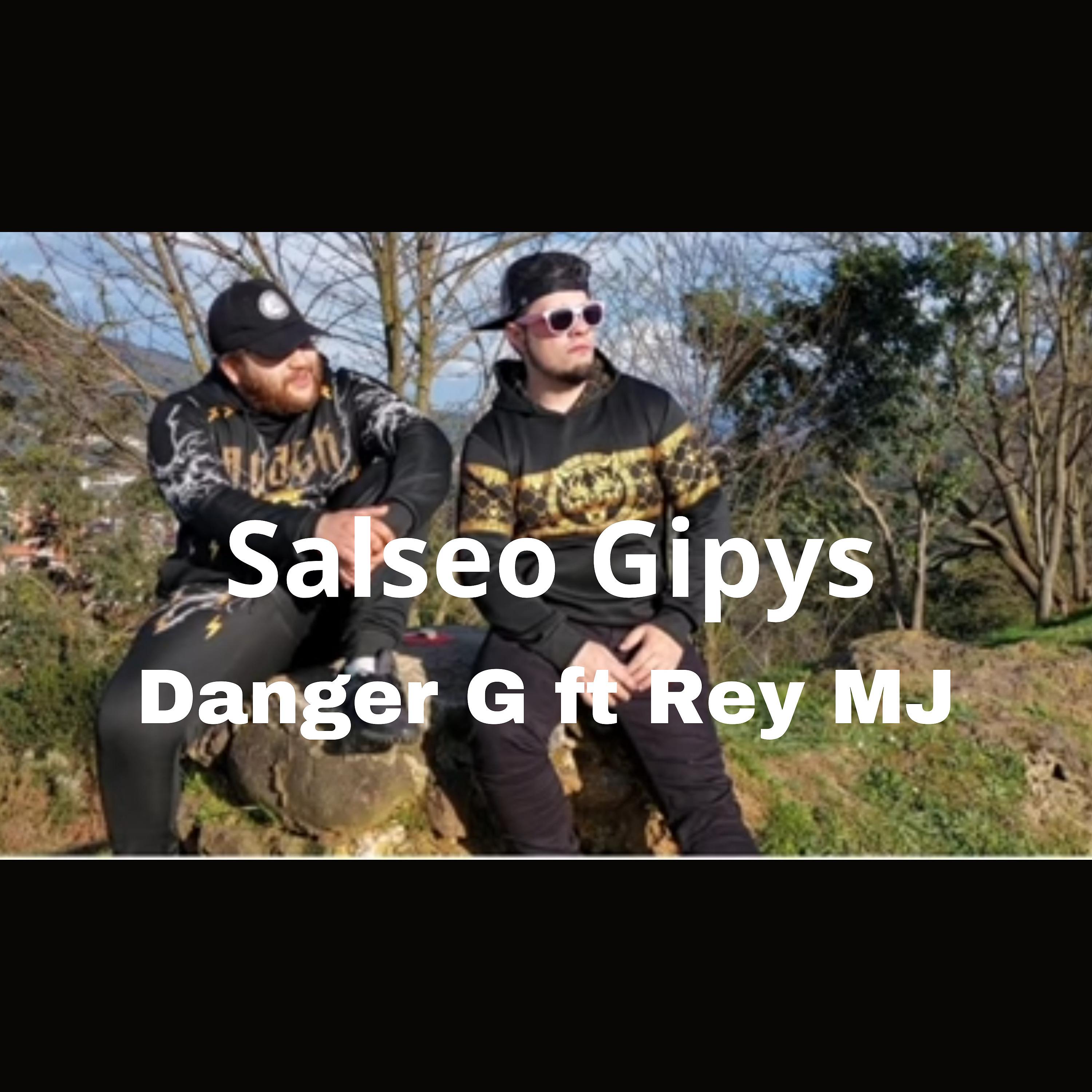 Постер альбома Salseo Gipsy