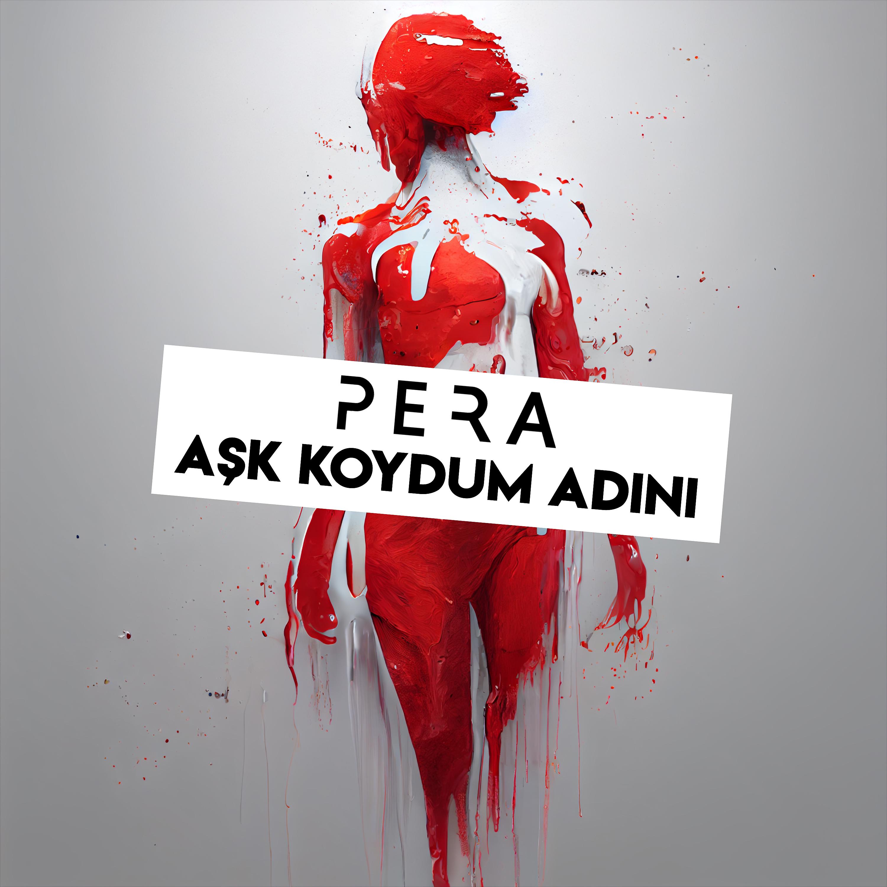 Постер альбома Aşk Koydum Adını