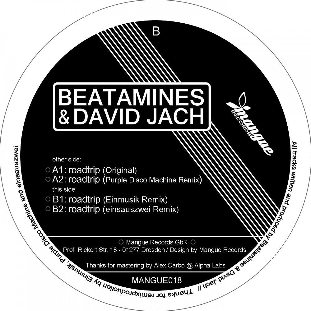 Beatamines & David Jach - Roadtrip (Samuel Fach Remix)