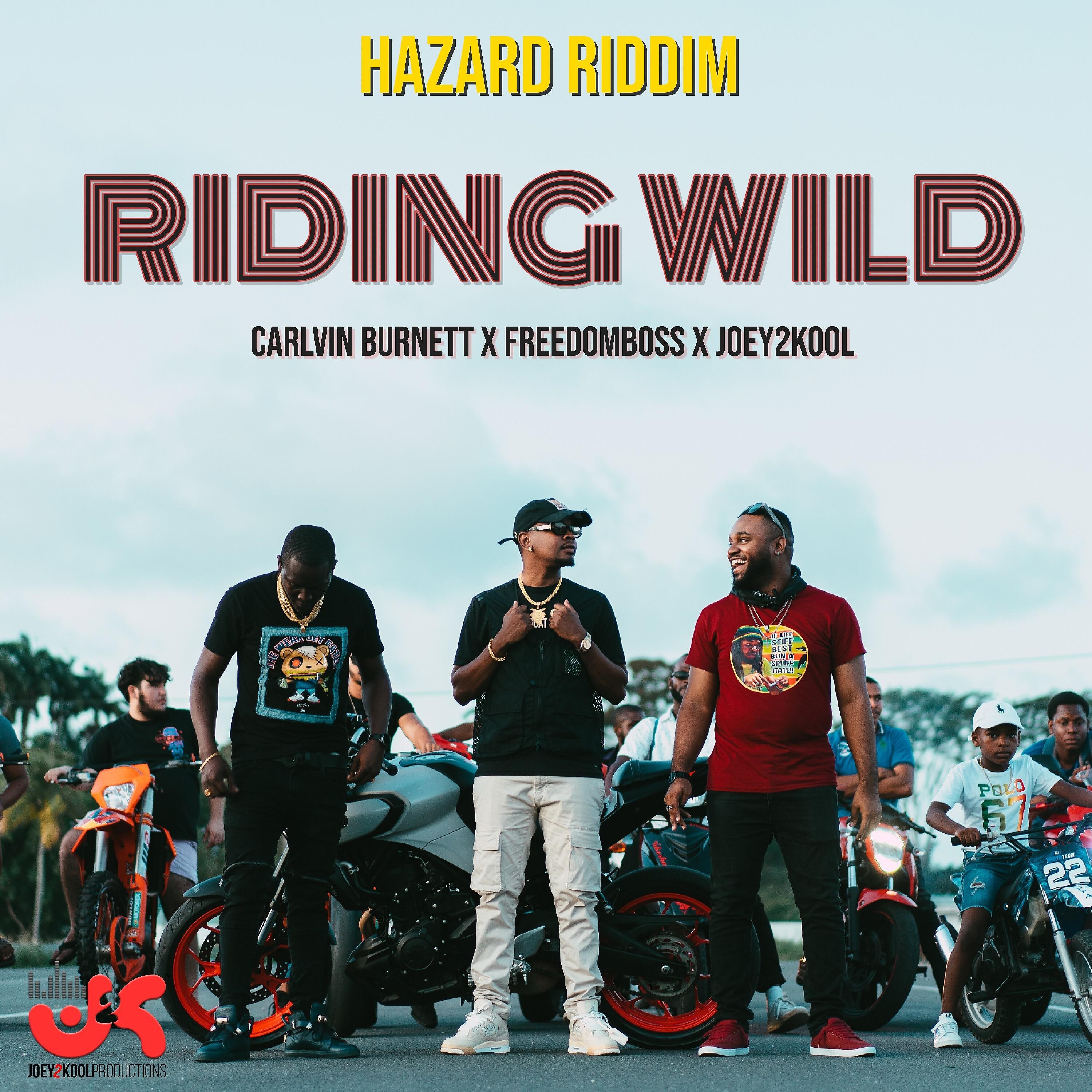 Постер альбома Riding Wild (Hazard Riddim)