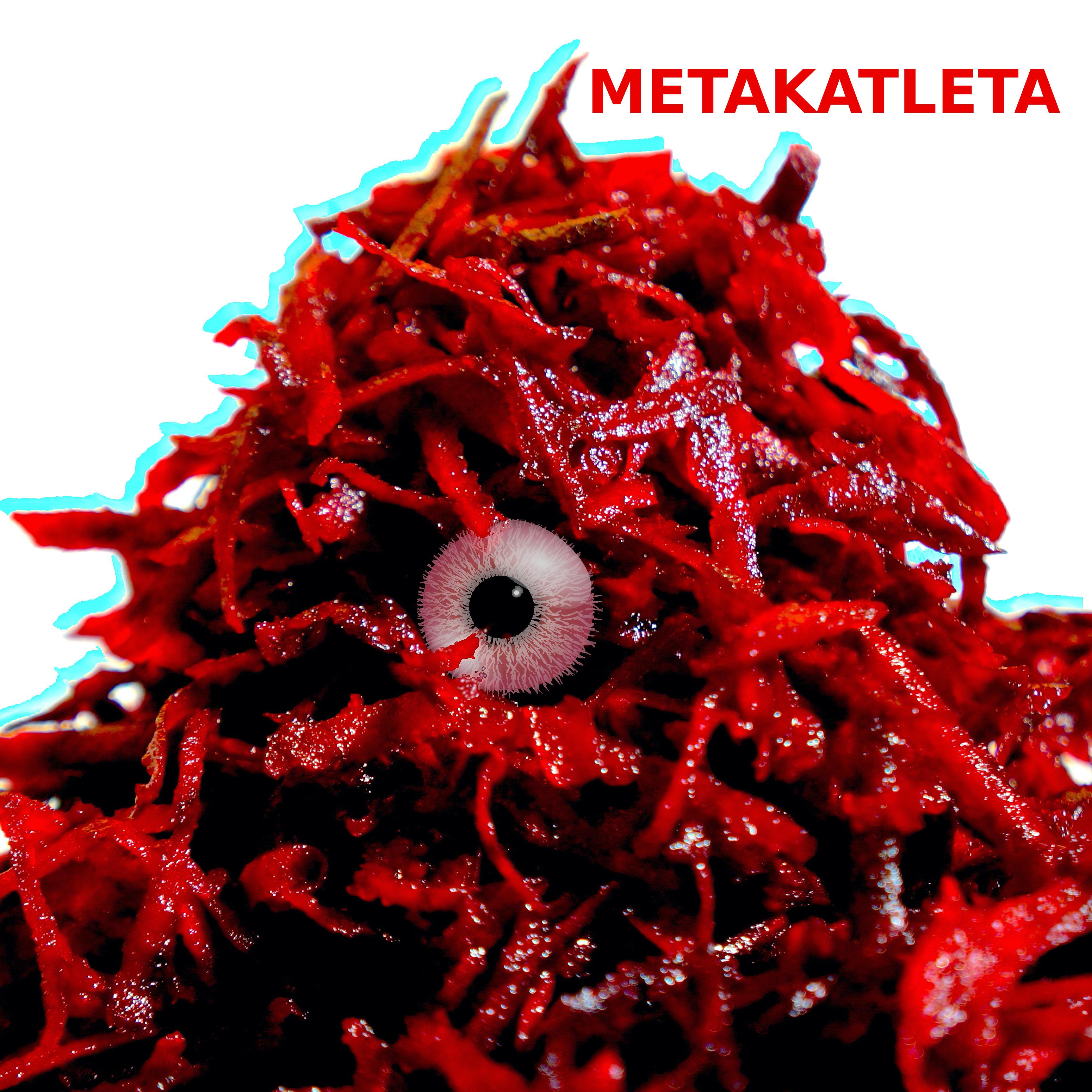 Постер альбома Metakatleta