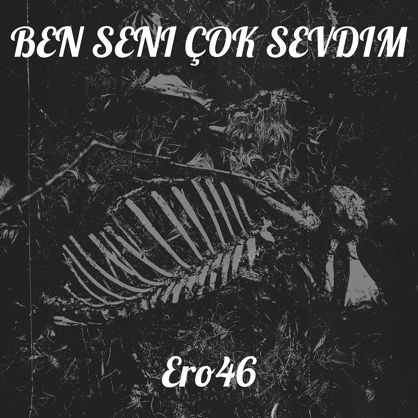 Постер альбома Ben Seni Çok Sevdim